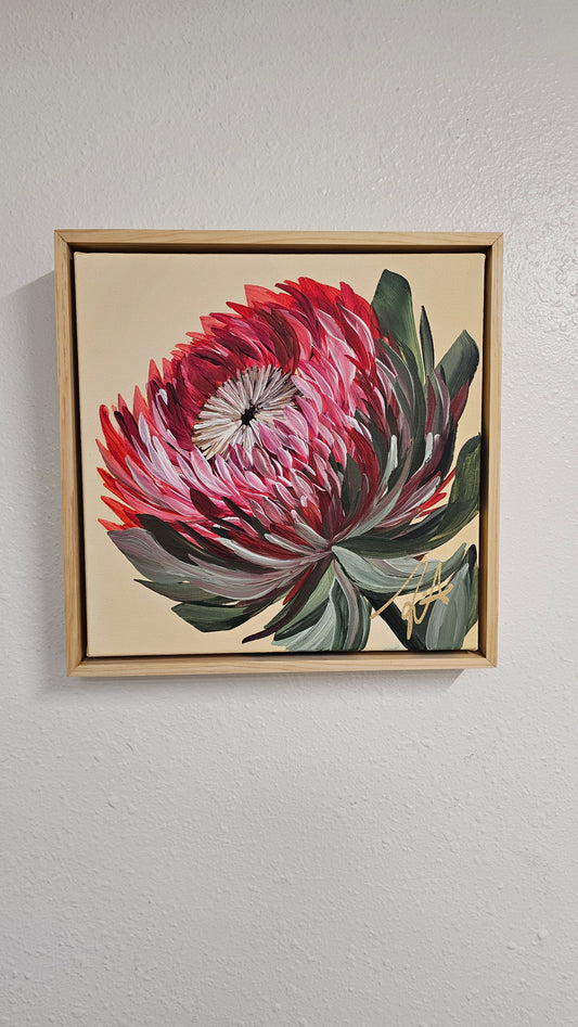 🔴 SOLD "Transformation" #9 _ Protea Flower Painting by Zoe White _ Acrylic on canvas
