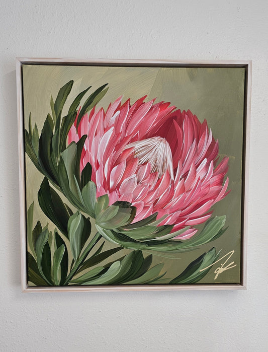 "Radiant" #5 Protea Flower Painting by Zoe White _ Acrylic on canvas