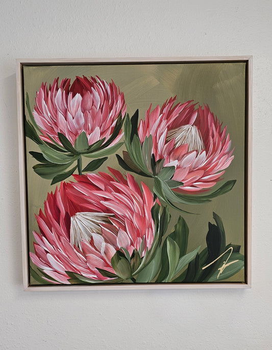"Radiant" #6 Protea Flower Painting by Zoe White _ Acrylic on canvas