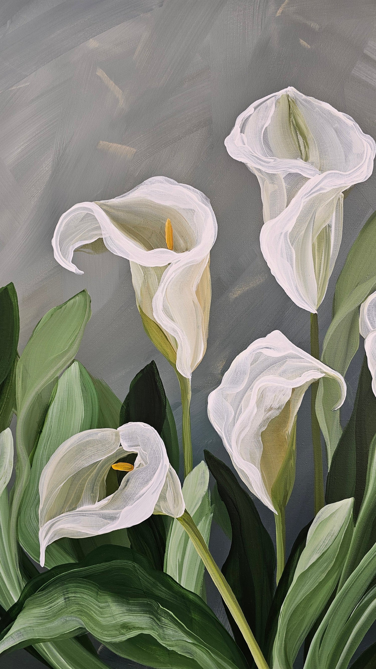 Calla Lily