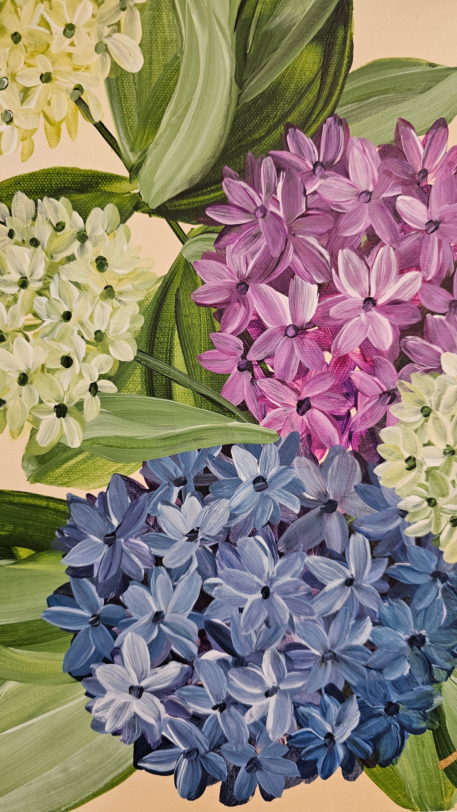 Hydrangeas