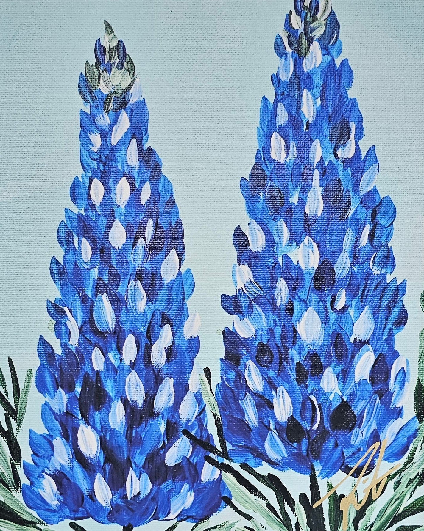11x14 Bluebonnet Print
