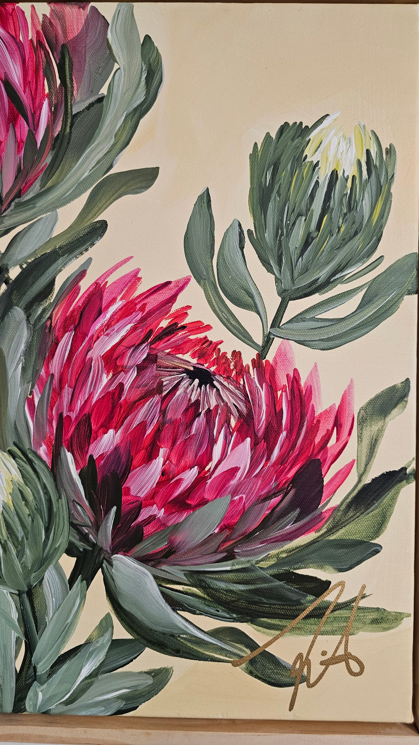 "Transformation" #5  Protea Flower Painting by Zoe White _ Acrylic on canvas