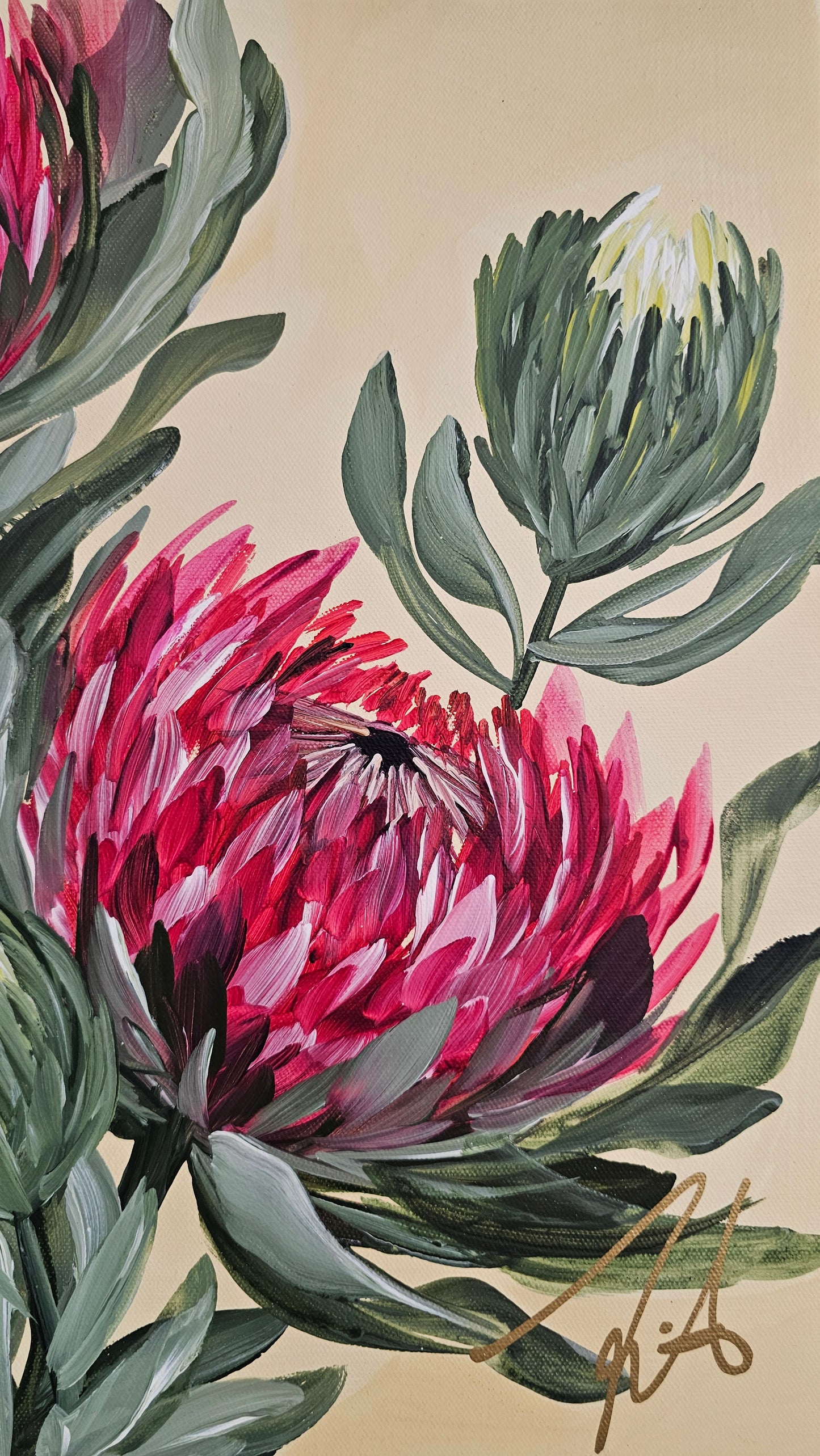 "Transformation" #5  Protea Flower Painting by Zoe White _ Acrylic on canvas