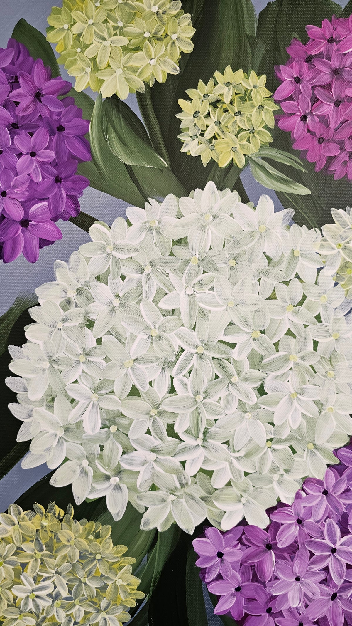 "Heritage" 5 _ 20x20 Hydrangeas Flower Painting by Zoe White _ Acrylic on canvas