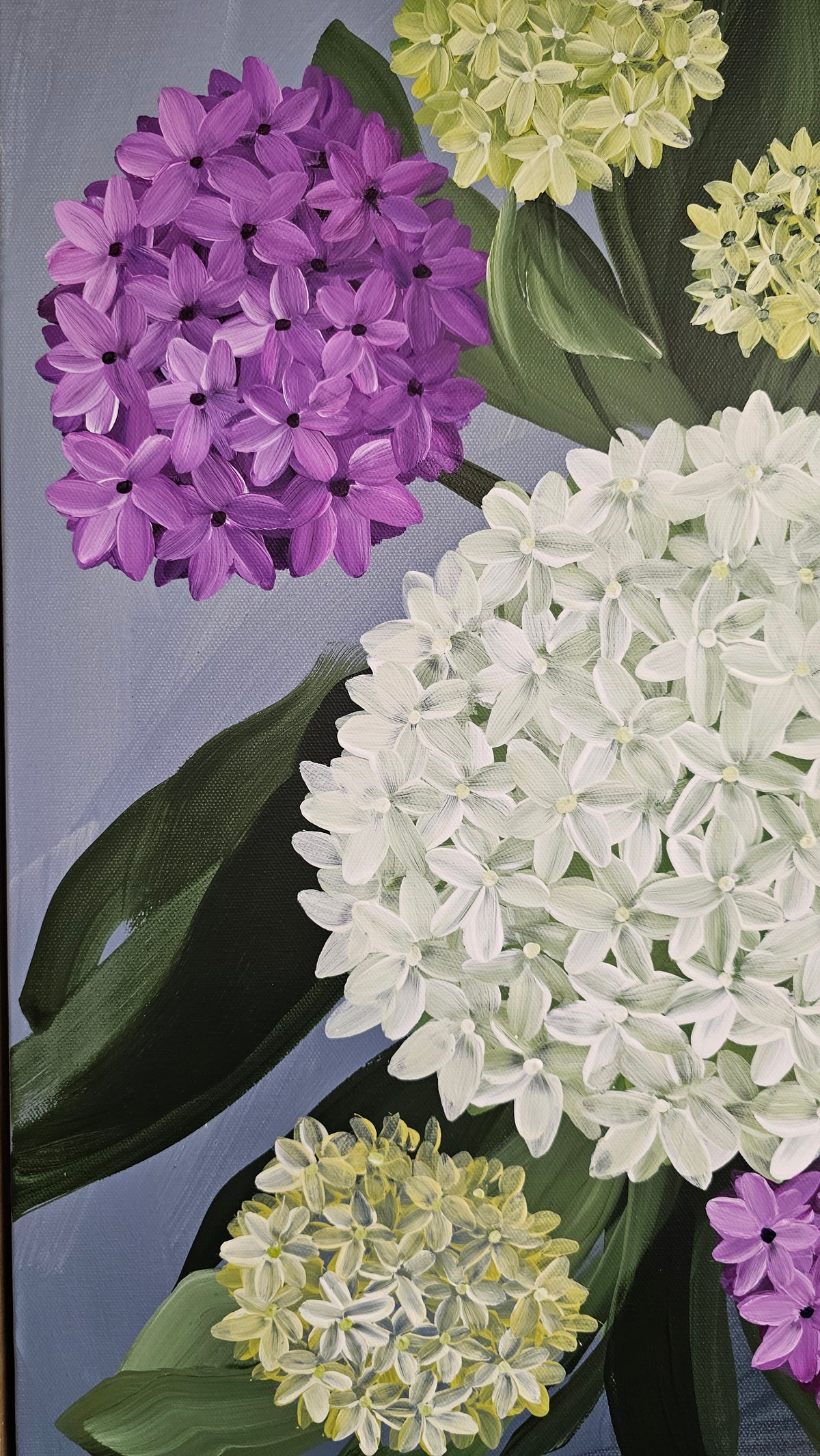 "Heritage" 5 _ 20x20 Hydrangeas Flower Painting by Zoe White _ Acrylic on canvas