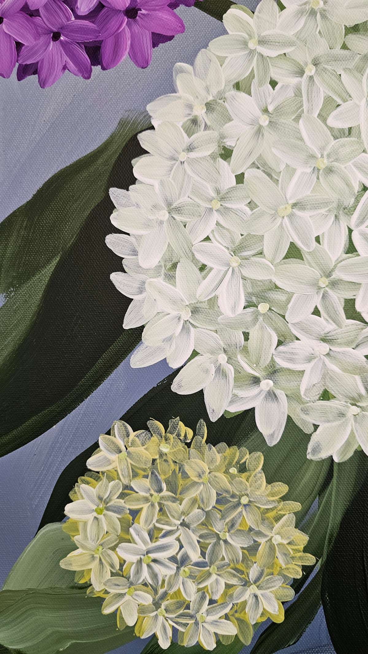 "Heritage" 5 _ 20x20 Hydrangeas Flower Painting by Zoe White _ Acrylic on canvas