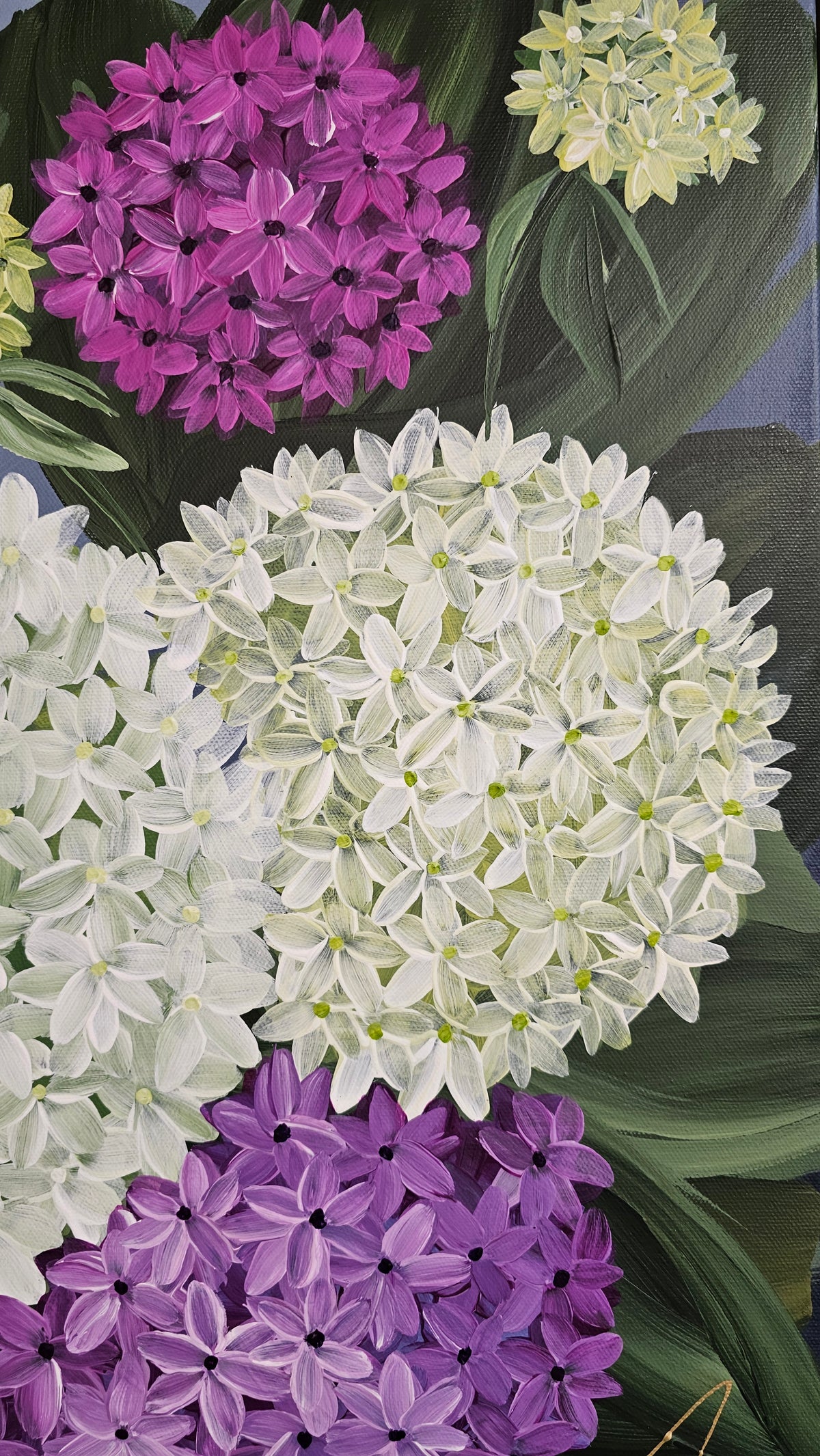 "Heritage" 5 _ 20x20 Hydrangeas Flower Painting by Zoe White _ Acrylic on canvas