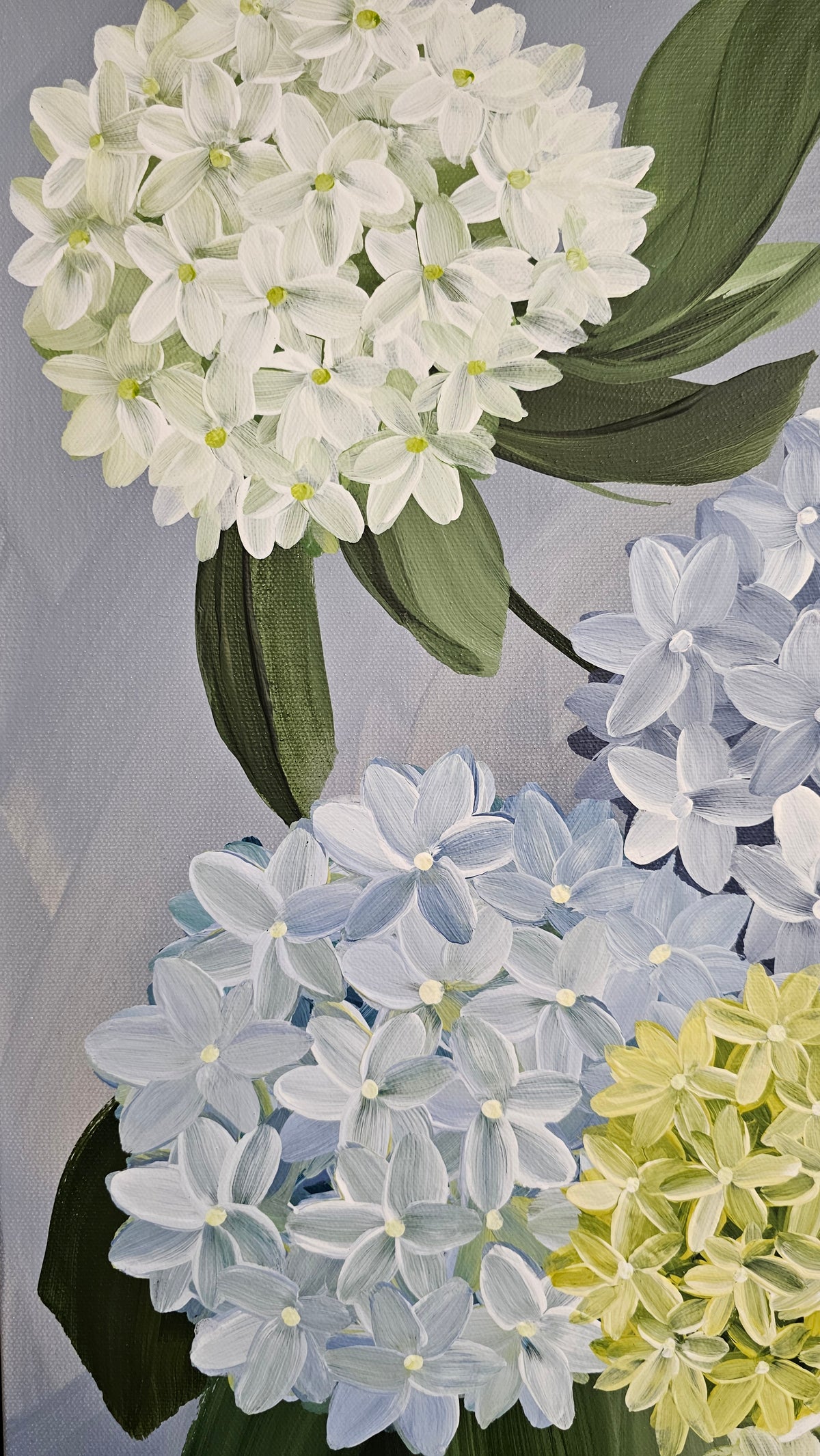"Heritage" 6_ 20x20 Hydrangeas Flower Painting by Zoe White _ Acrylic on canvas