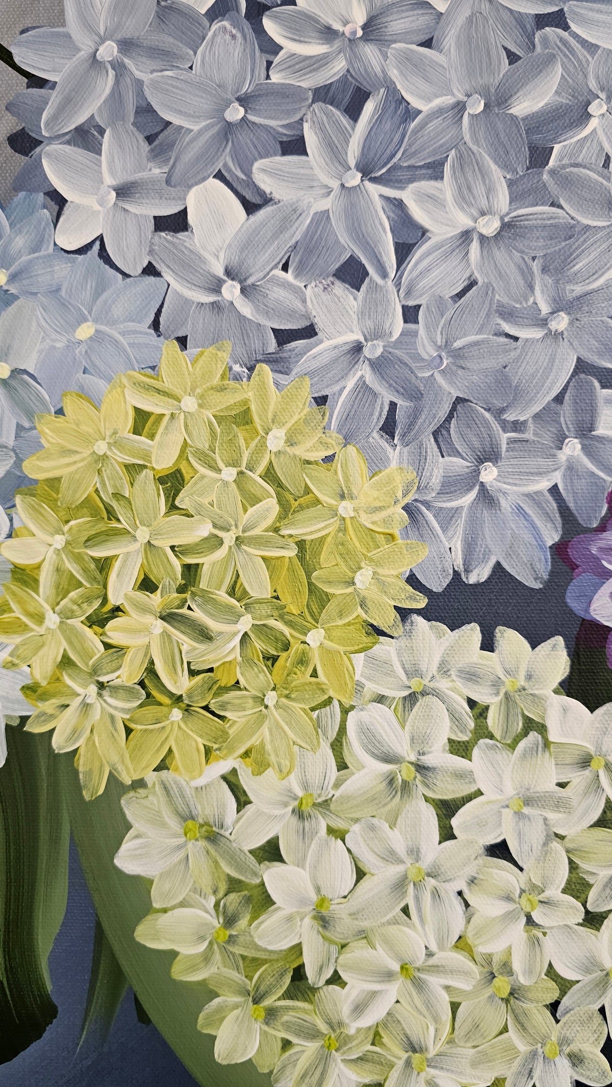 "Heritage" 6_ 20x20 Hydrangeas Flower Painting by Zoe White _ Acrylic on canvas