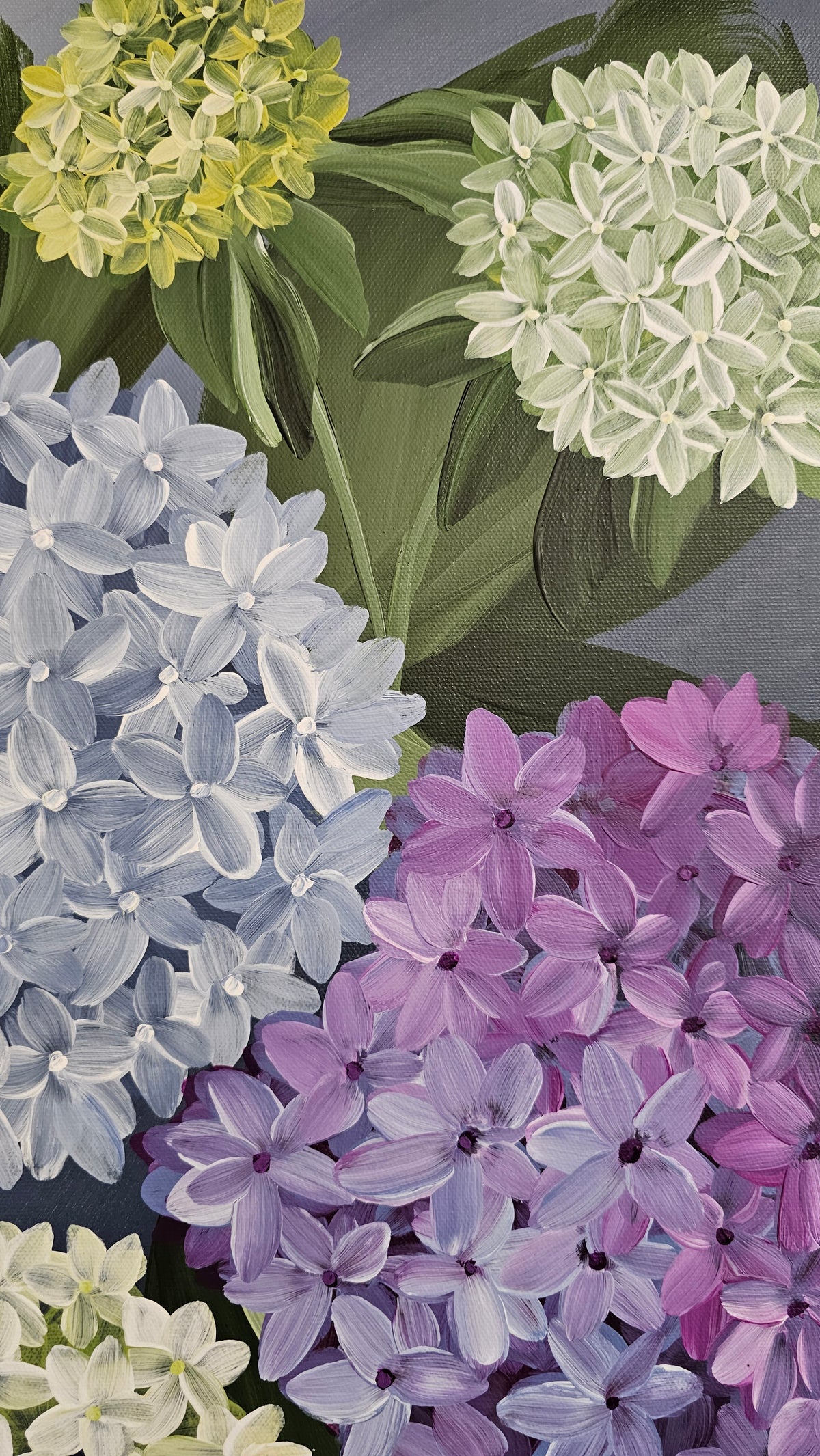 "Heritage" 6_ 20x20 Hydrangeas Flower Painting by Zoe White _ Acrylic on canvas