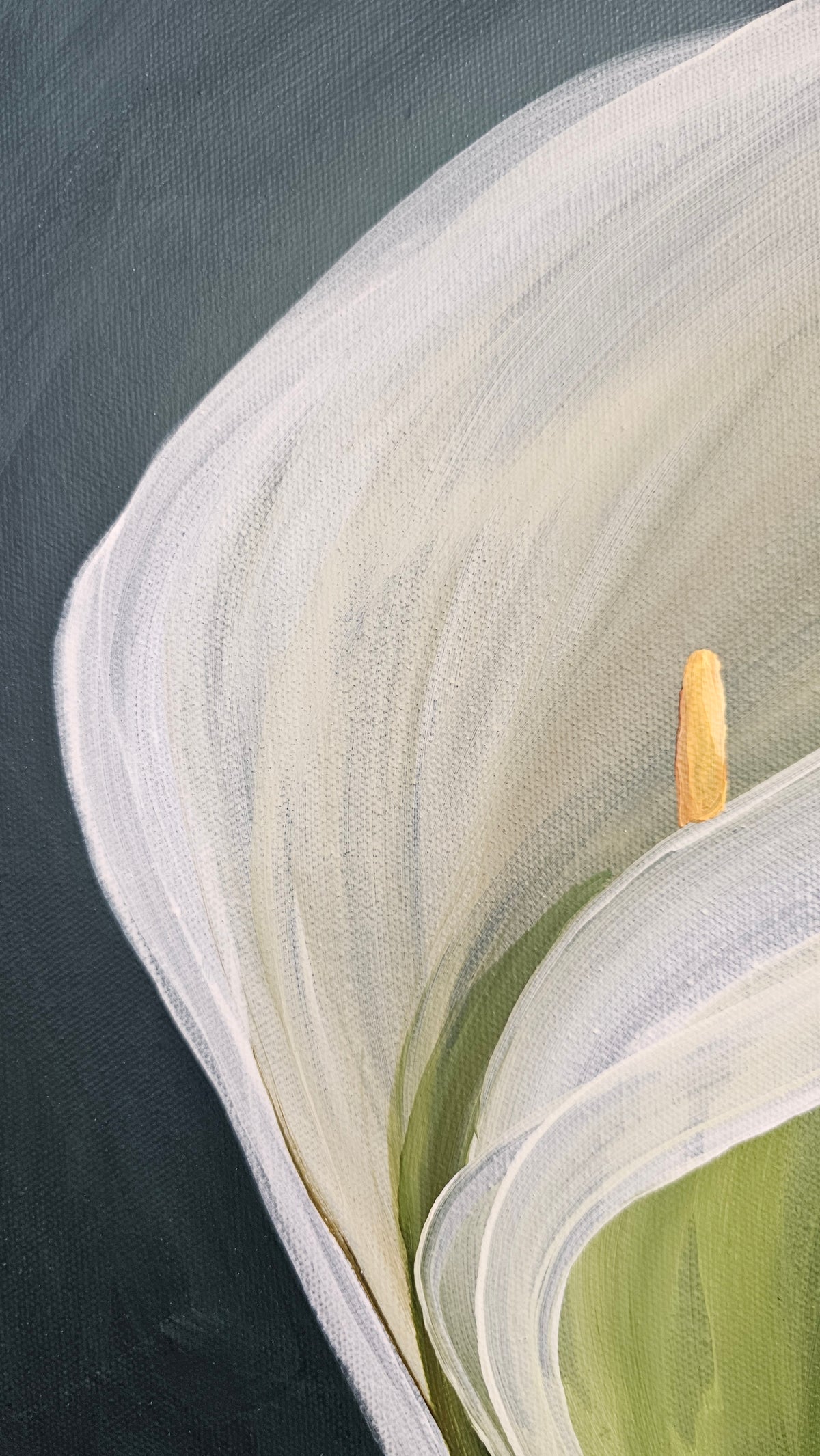"Elegant" #4_ 12x12 Calla Lily Flower Painting by Zoe White _ Acrylic on canvas