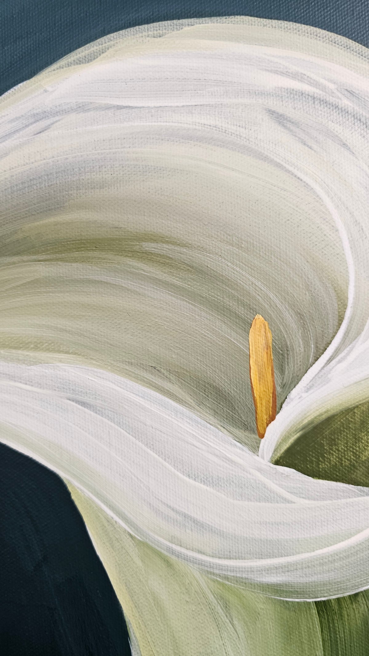 "Elegant" #3_ 12x12 Calla Lily Flower Painting by Zoe White _ Acrylic on canvas