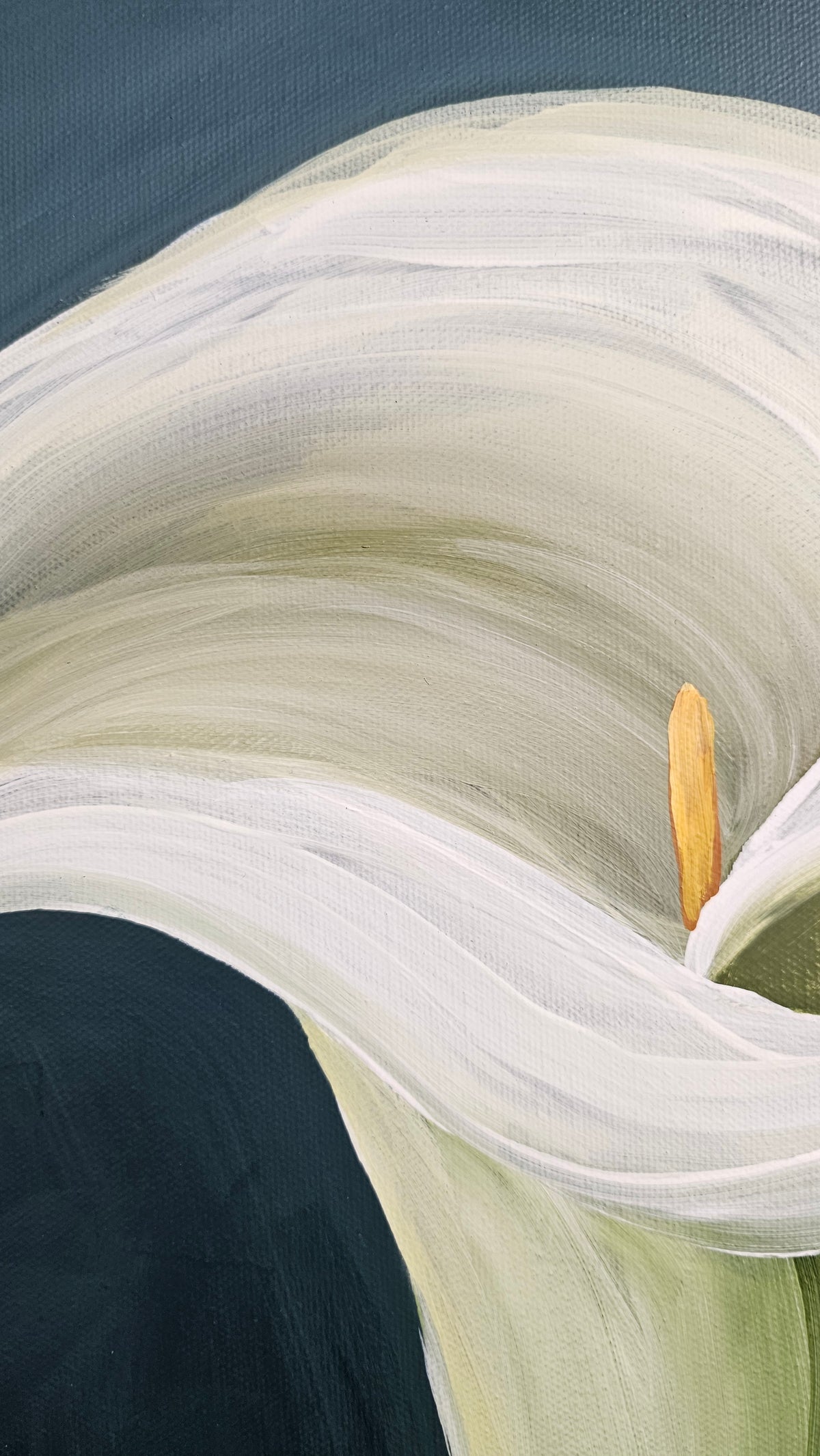 "Elegant" #3_ 12x12 Calla Lily Flower Painting by Zoe White _ Acrylic on canvas