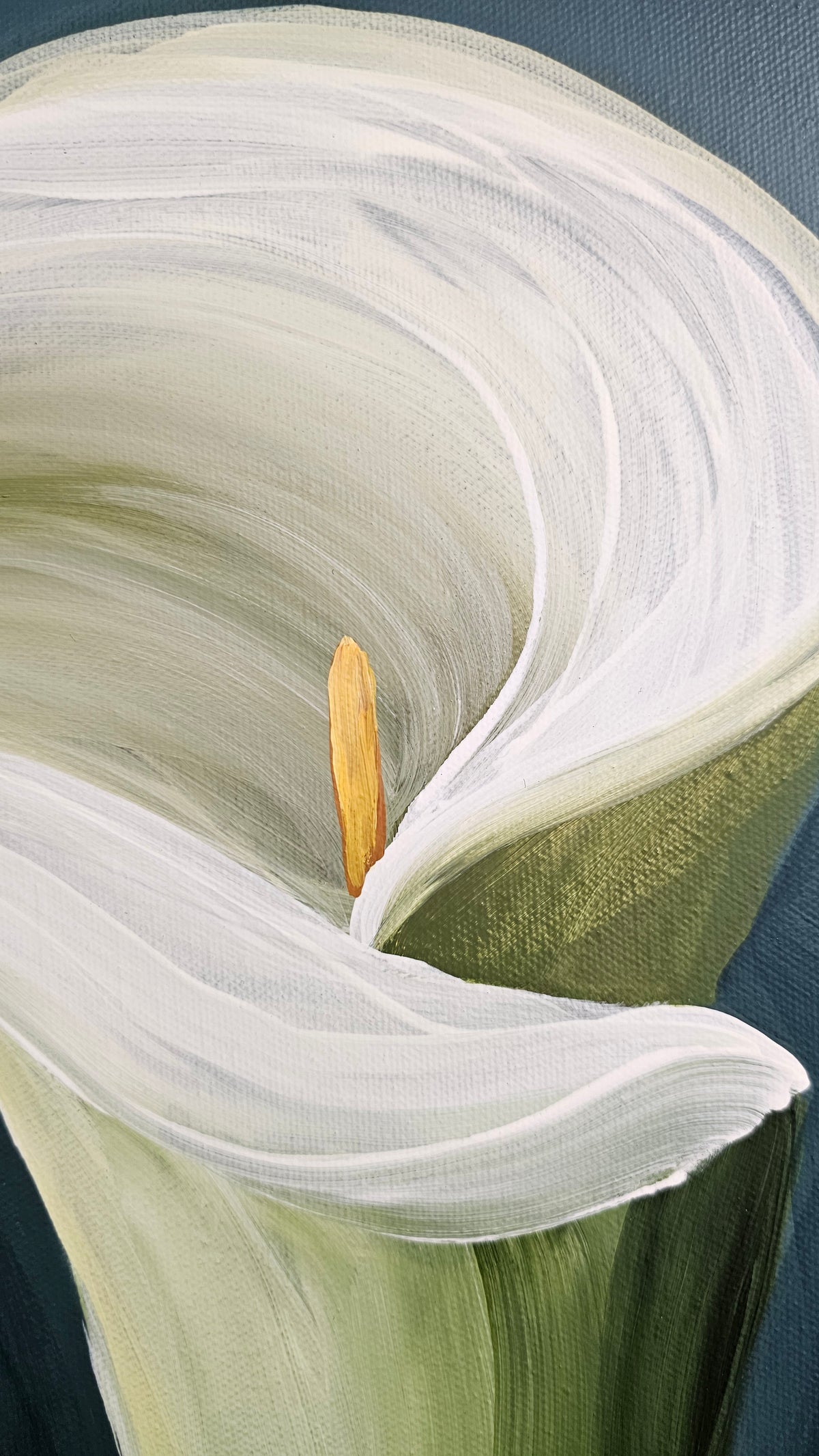 "Elegant" #3_ 12x12 Calla Lily Flower Painting by Zoe White _ Acrylic on canvas
