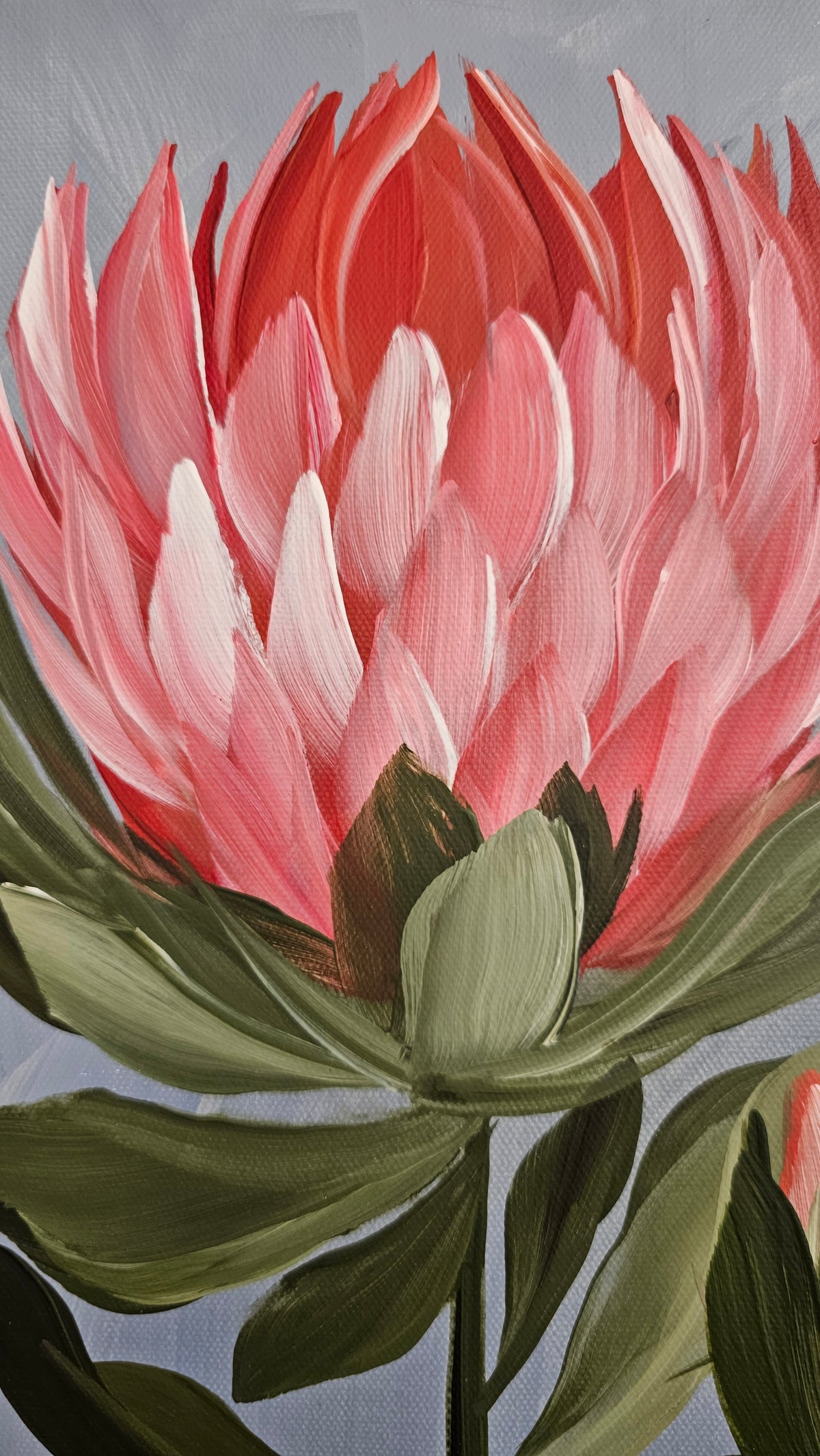"Radiant" #2 Protea Flower Painting by Zoe White _ Acrylic on canvas