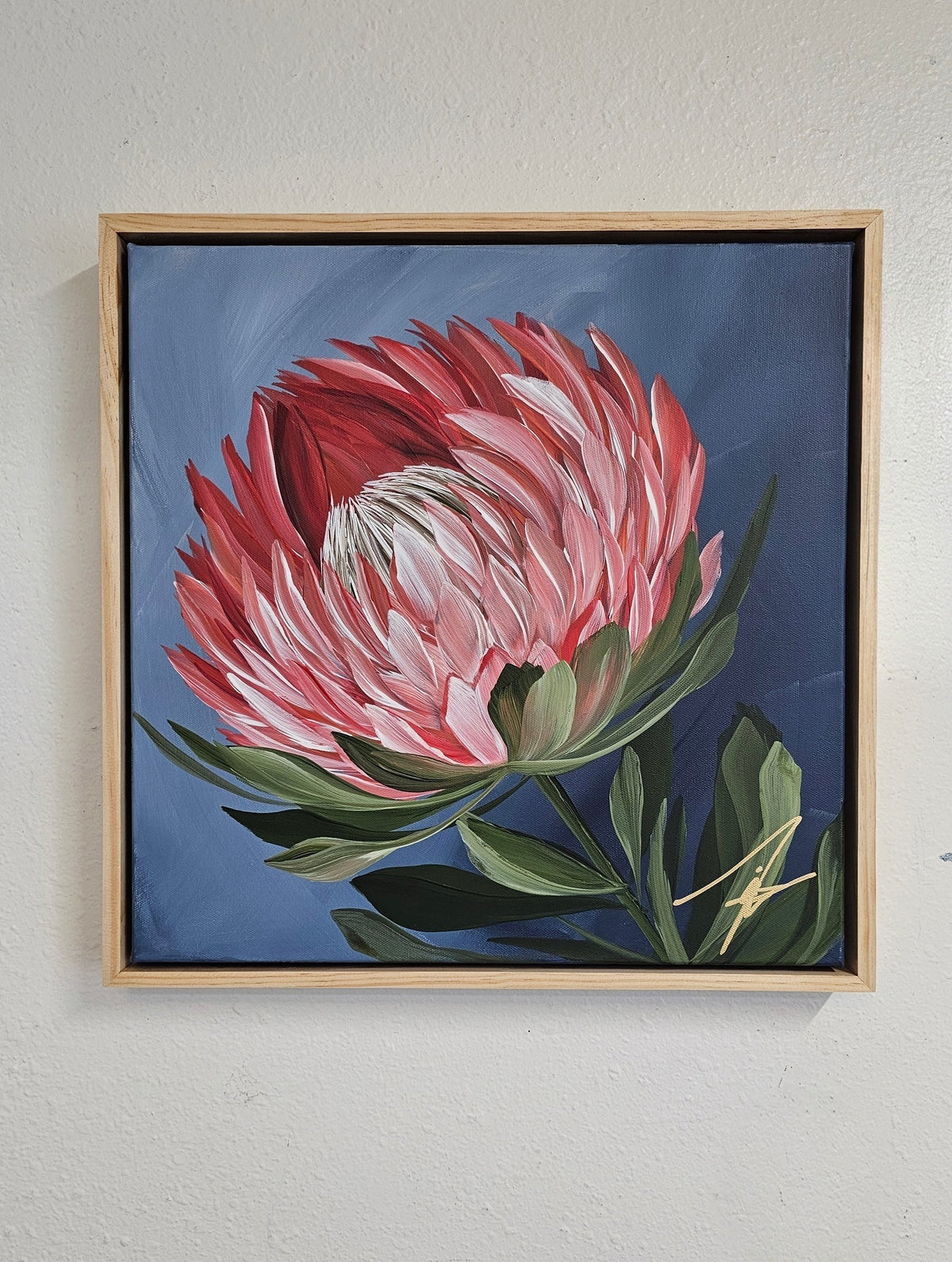 "Radiant" #1  Protea Flower Painting by Zoe White _ Acrylic on canvas