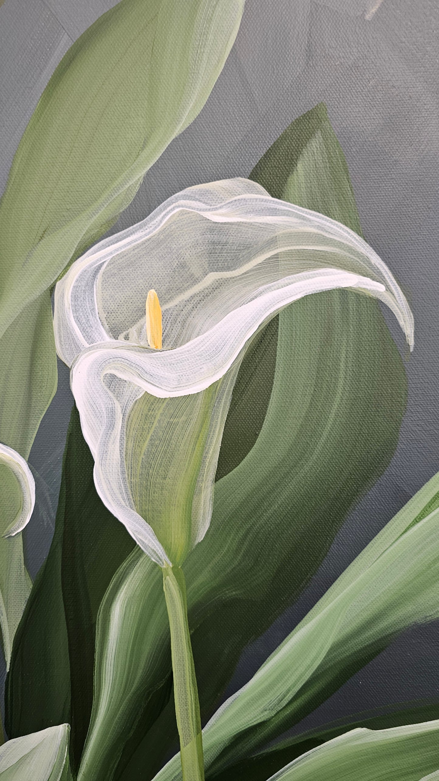 Elegant _ Calla Lily Flower Painting by Zoe White _ Acrylic on canvas