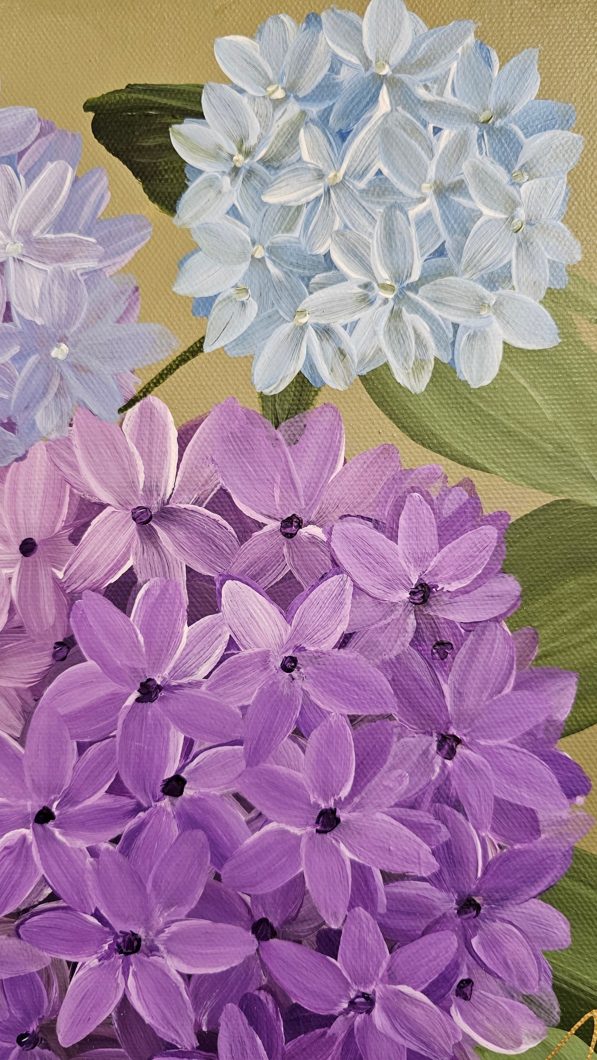"Heritage" 2 _ 12x12 hydrangeas Flower Painting by Zoe White _ Acrylic on canvas
