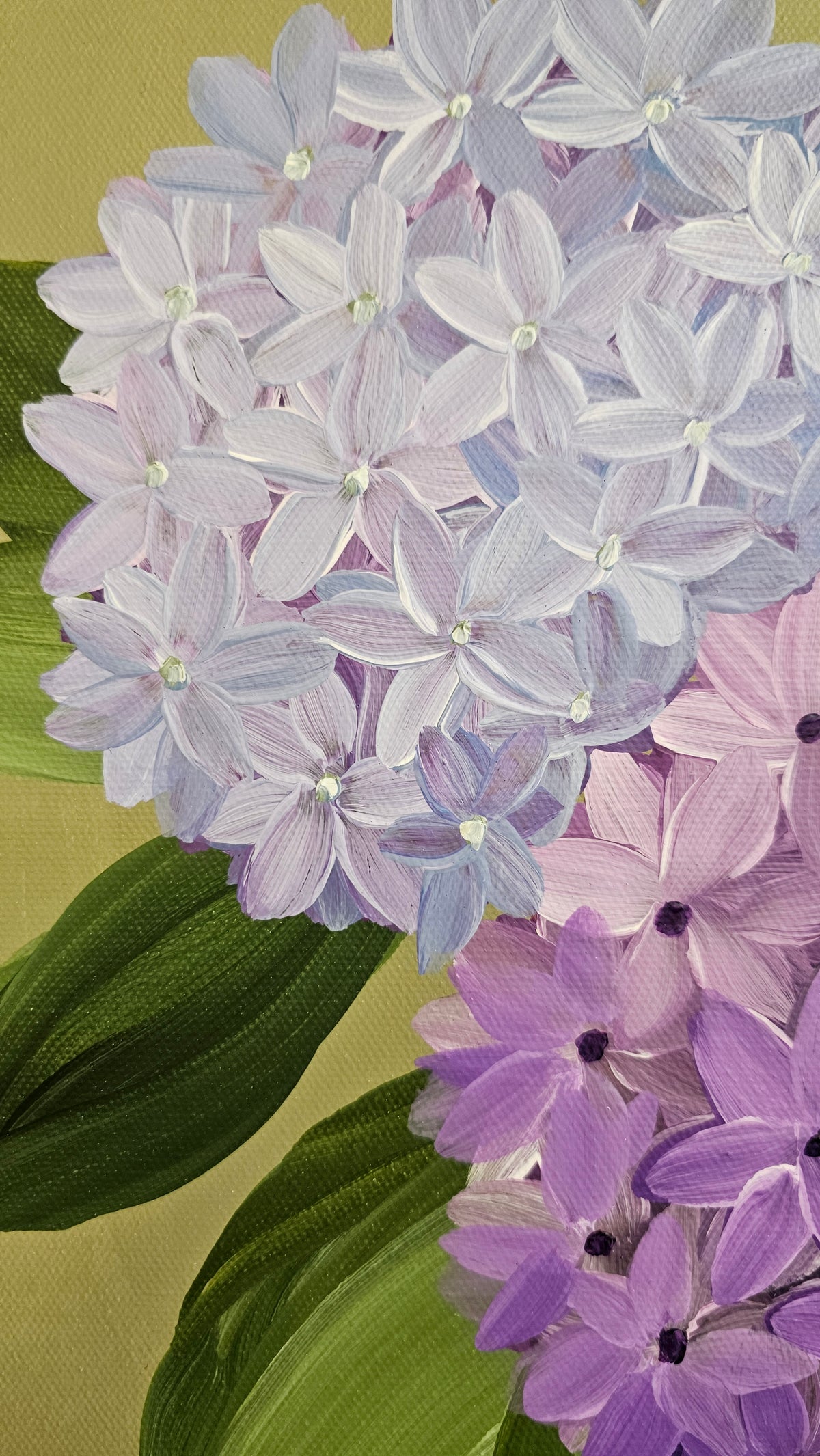 "Heritage" 2 _ 12x12 hydrangeas Flower Painting by Zoe White _ Acrylic on canvas