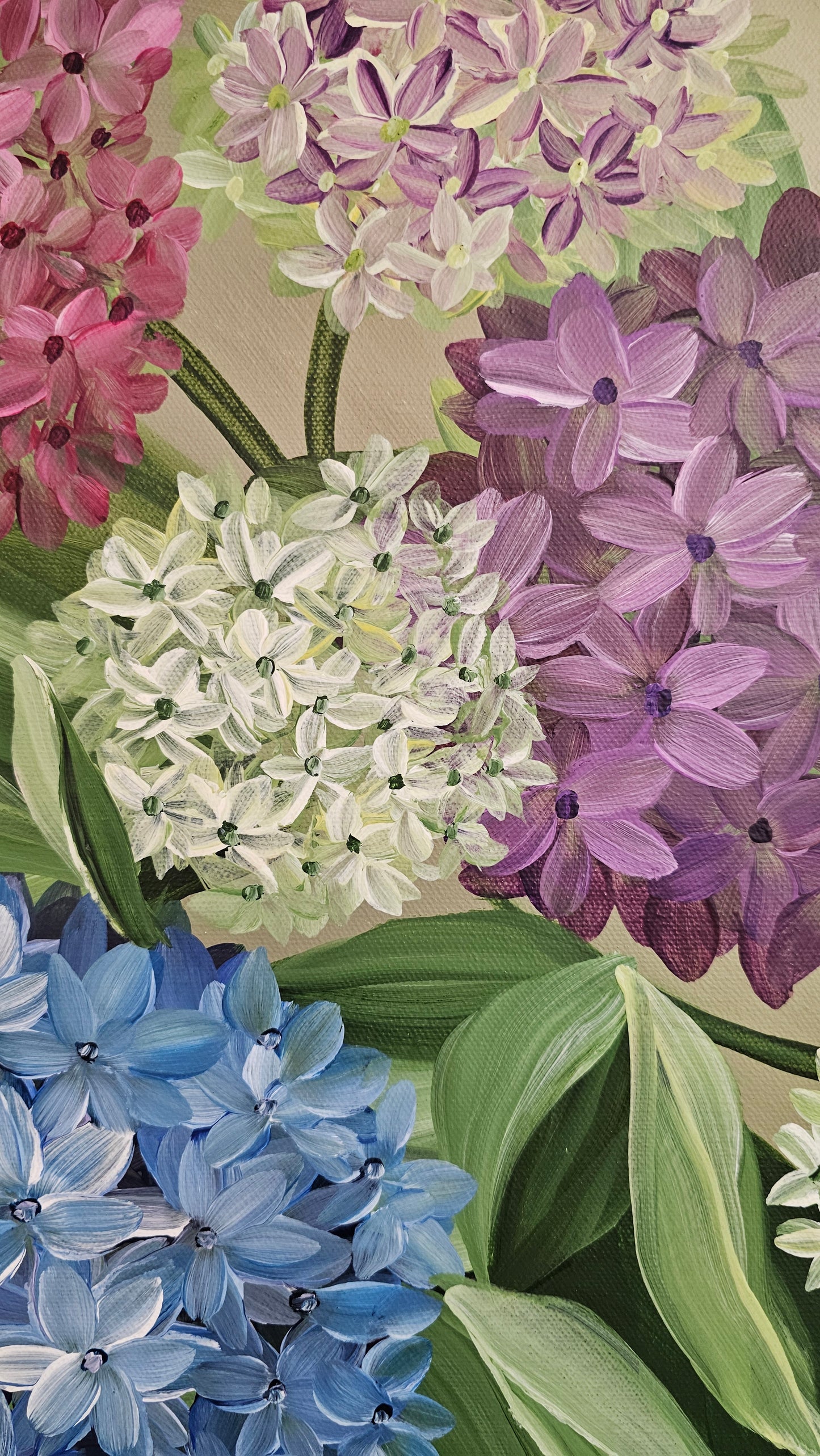 "Legacy" #2 _ Hydrangeas Flower Painting by Zoe White _ Acrylic on canvas