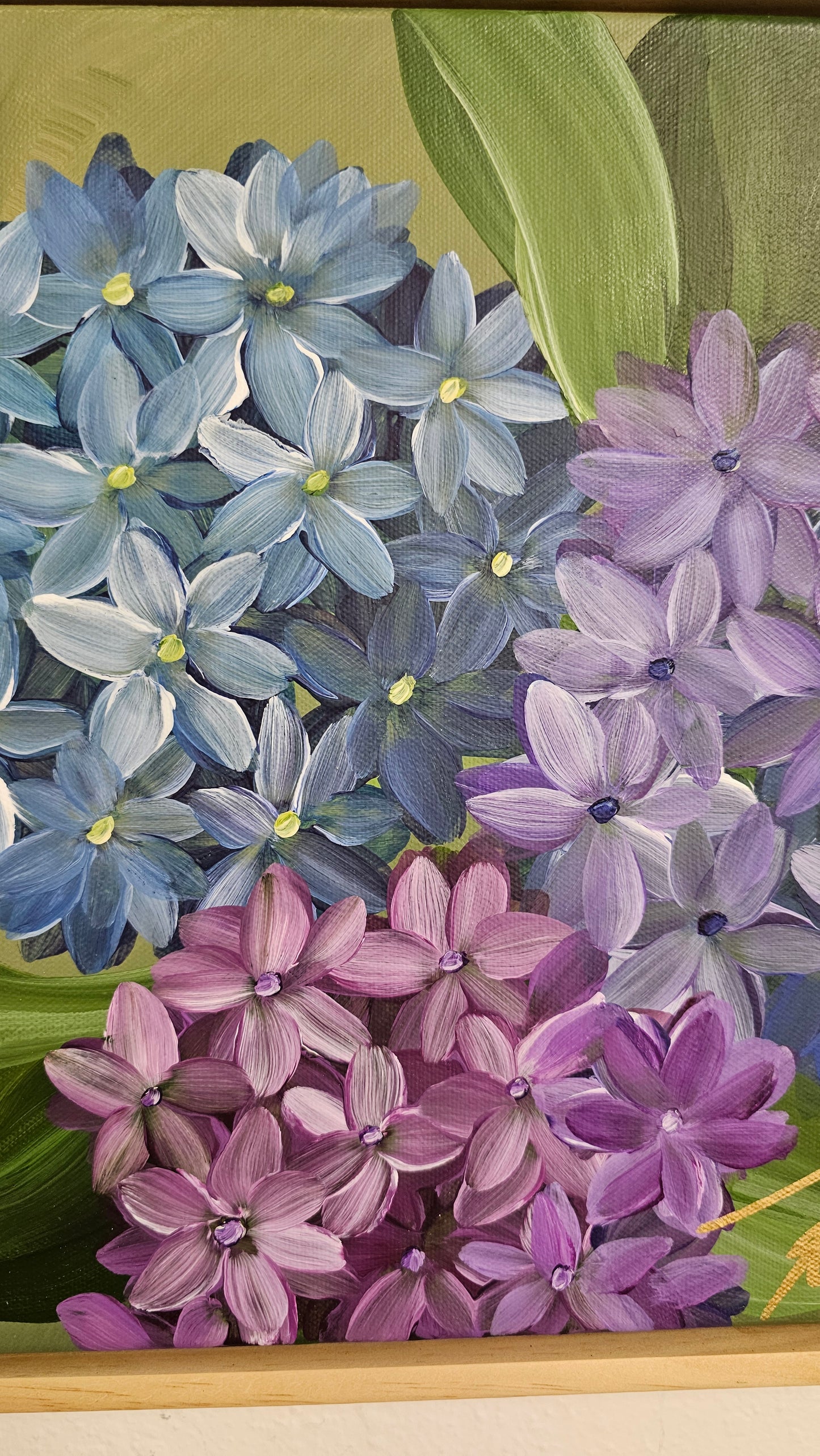 "Legacy" 5_ 12x12 hydrangeas Flower Painting by Zoe White _ Acrylic on canvas