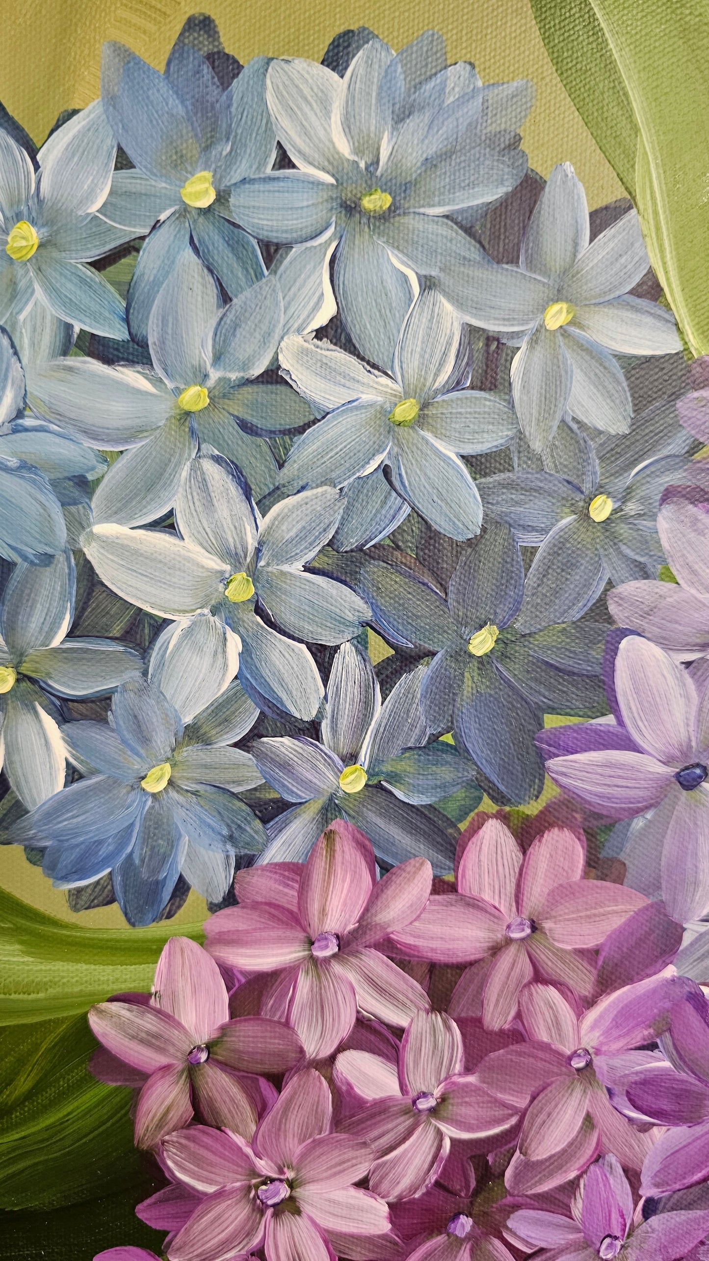 "Legacy" 5_ 12x12 hydrangeas Flower Painting by Zoe White _ Acrylic on canvas