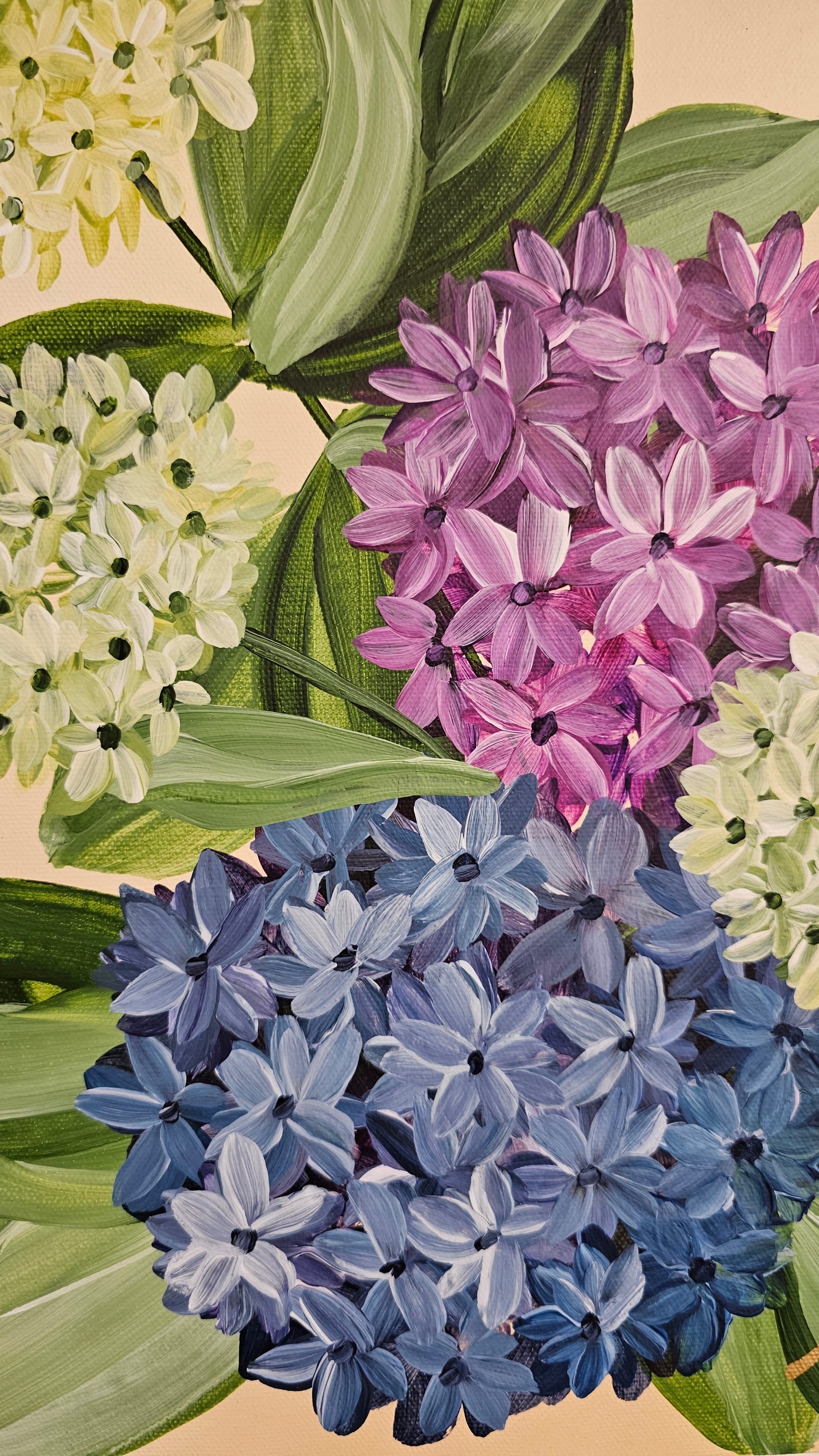 "Legacy" Hydrangeas Flower Painting by Zoe White _ Acrylic on canvas