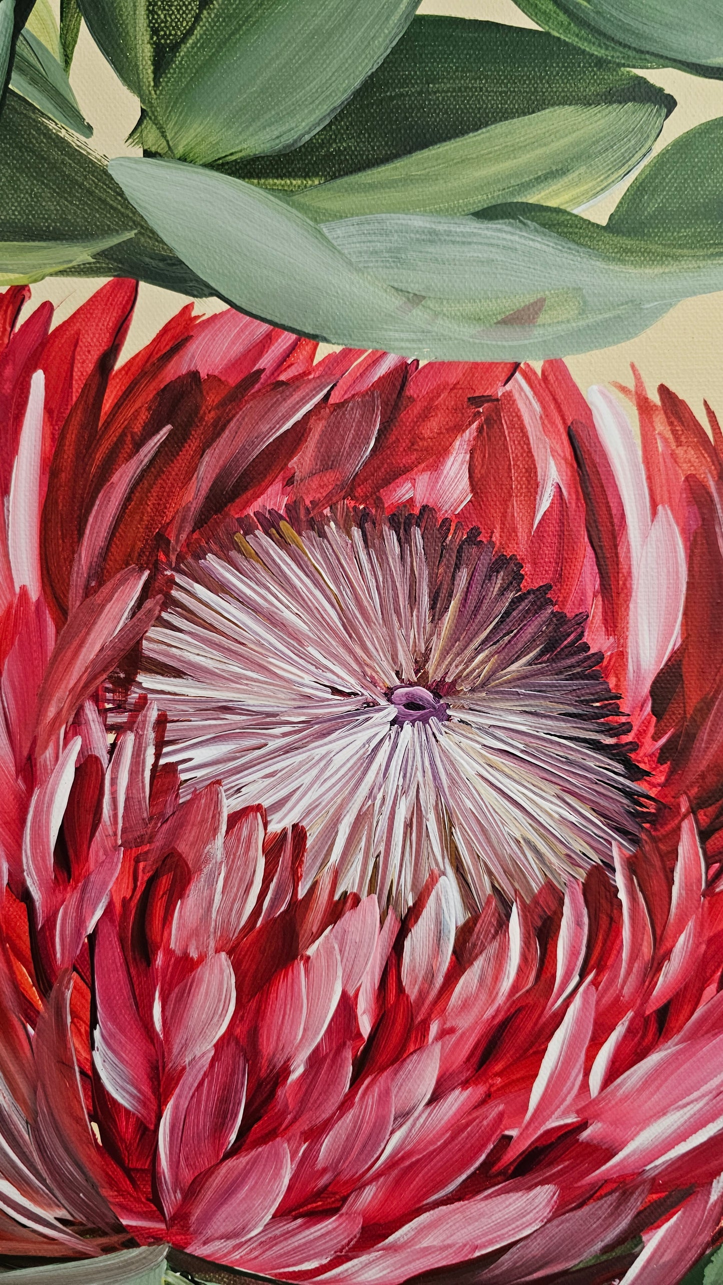 "Transformation" #3_ Protea Flower Painting by Zoe White _ Acrylic on canvas