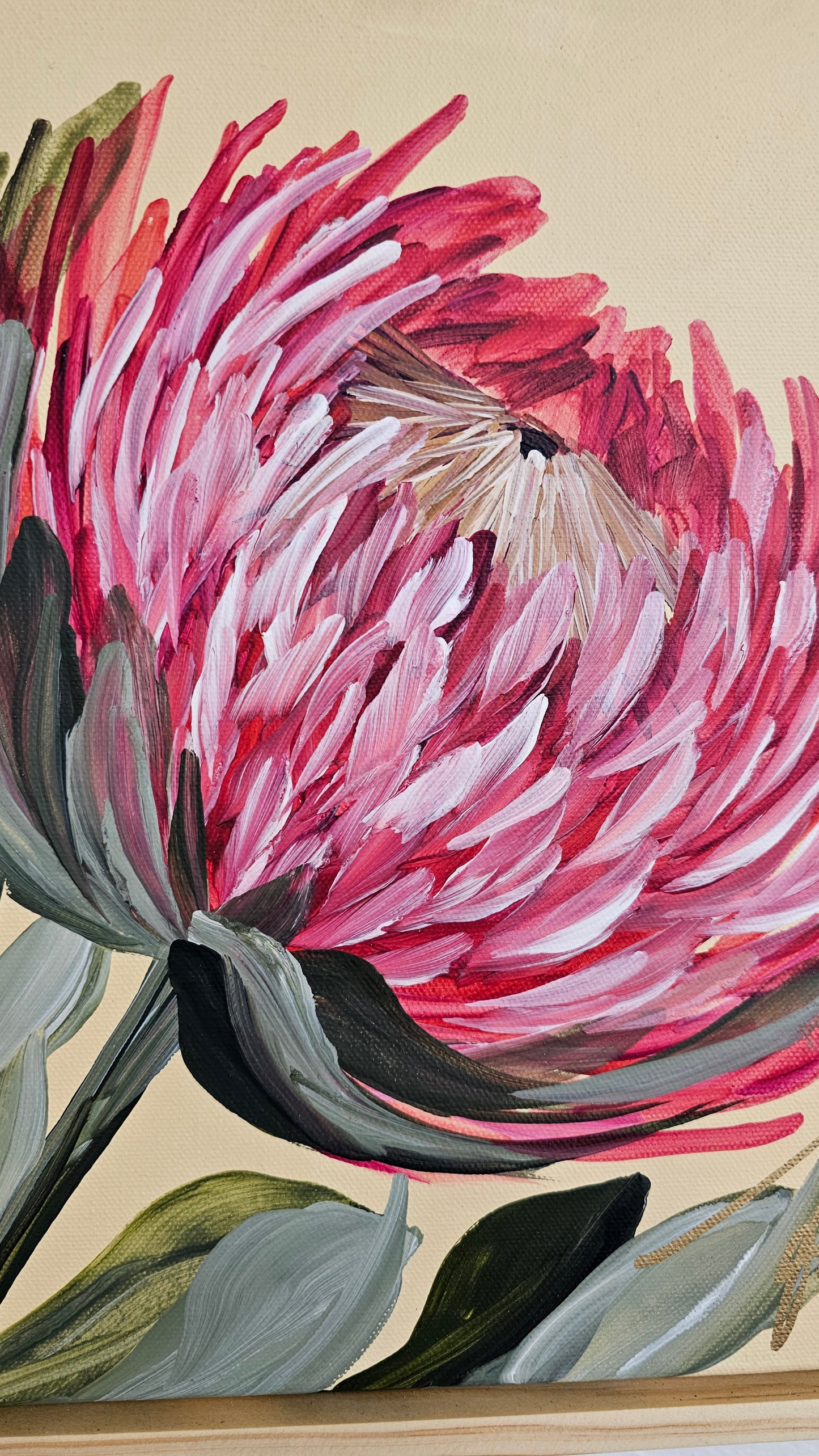 "Transformation" #4 _ Protea Flower Painting by Zoe White _ Acrylic on canvas