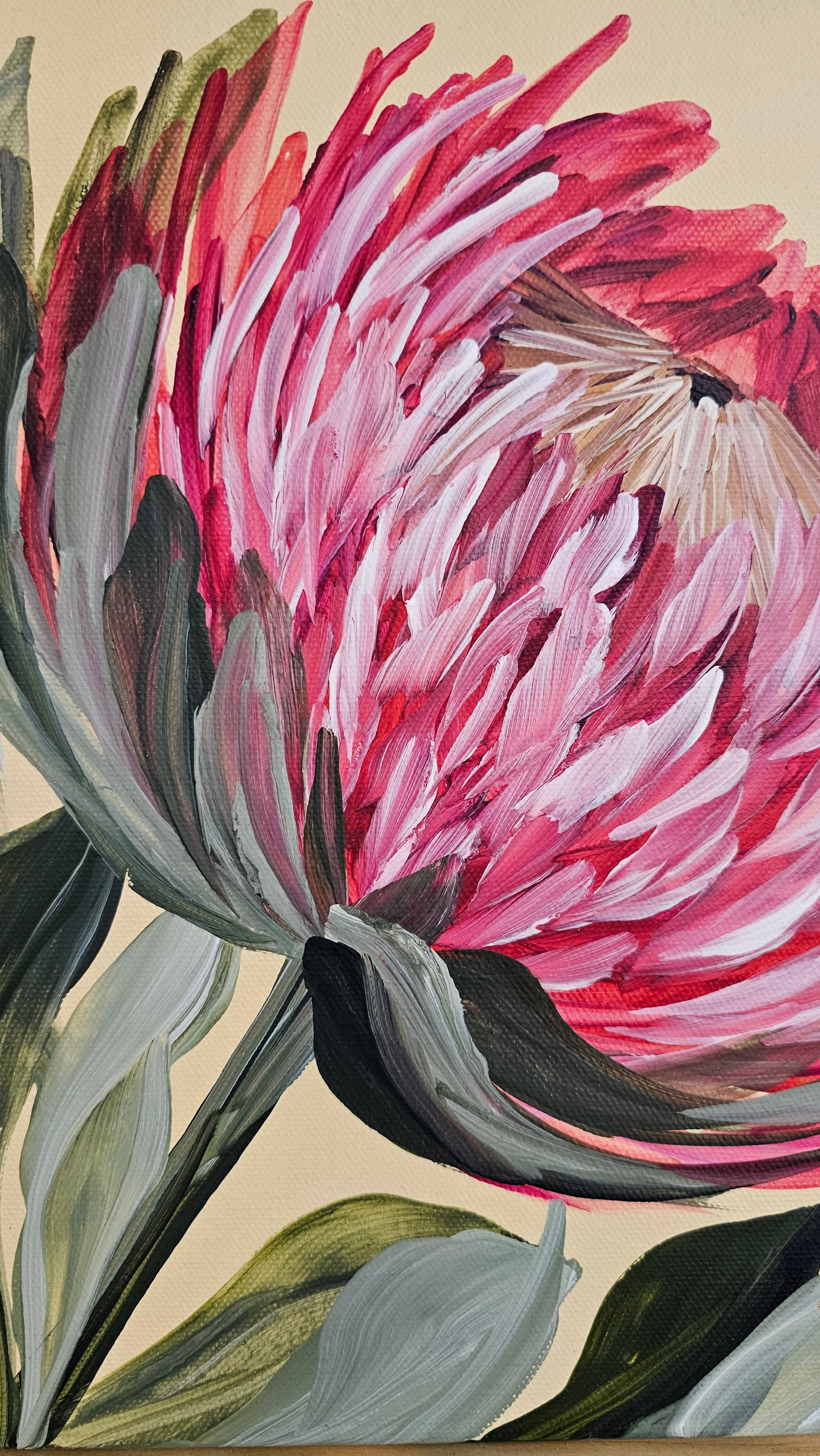 "Transformation" #4 _ Protea Flower Painting by Zoe White _ Acrylic on canvas