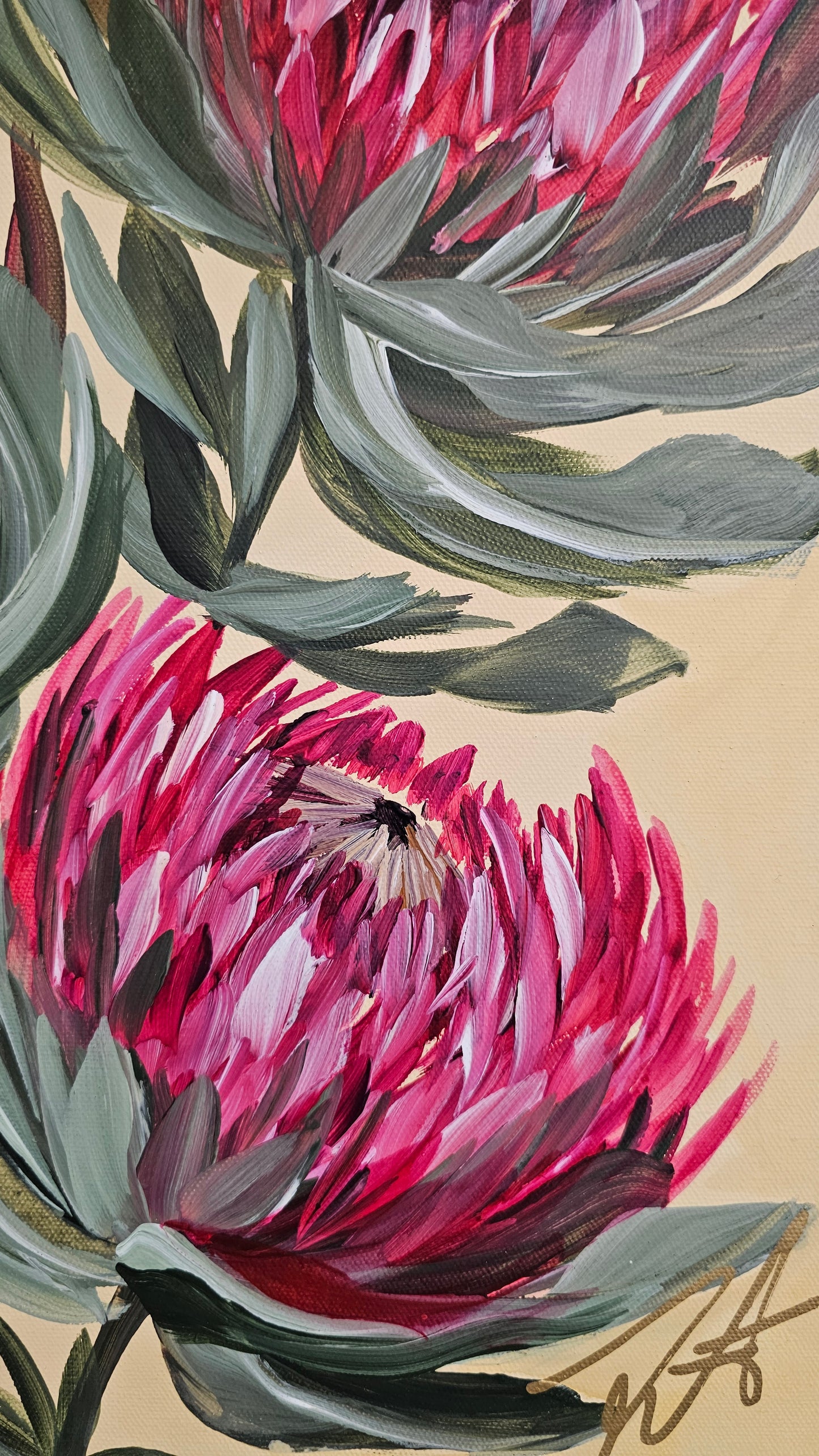 "Transformation" #5  Protea Flower Painting by Zoe White _ Acrylic on canvas