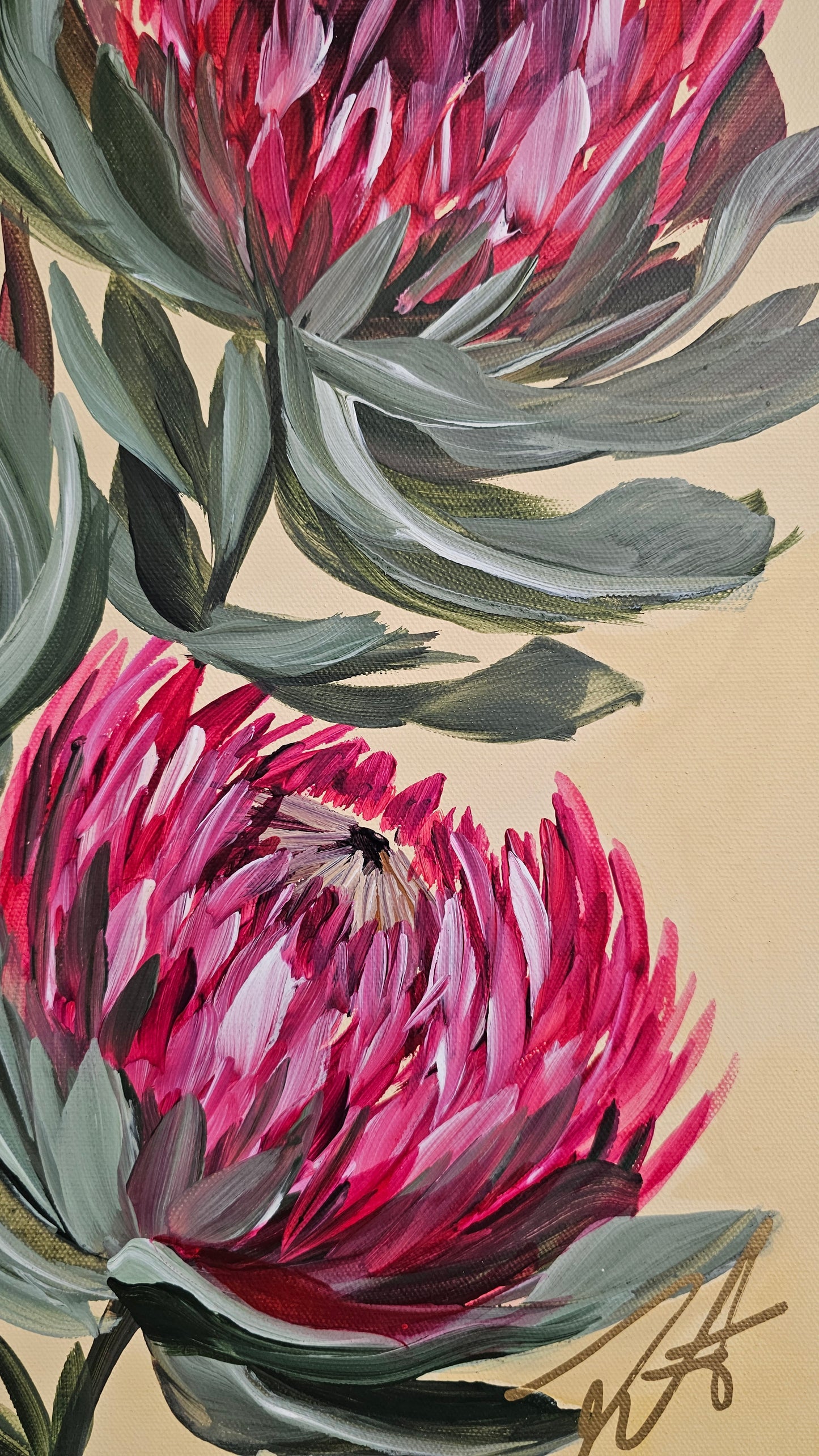 "Transformation" #5  Protea Flower Painting by Zoe White _ Acrylic on canvas