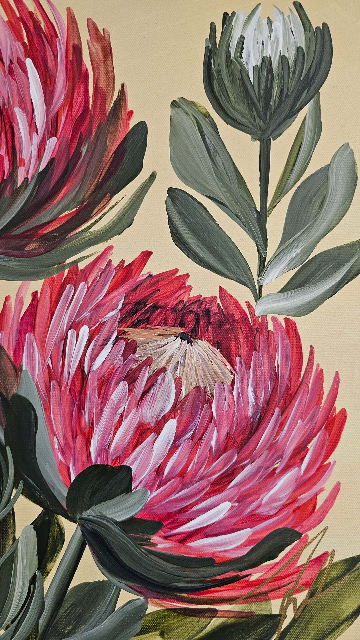 "Transformation" #6  Protea Flower Painting by Zoe White _ Acrylic on canvas