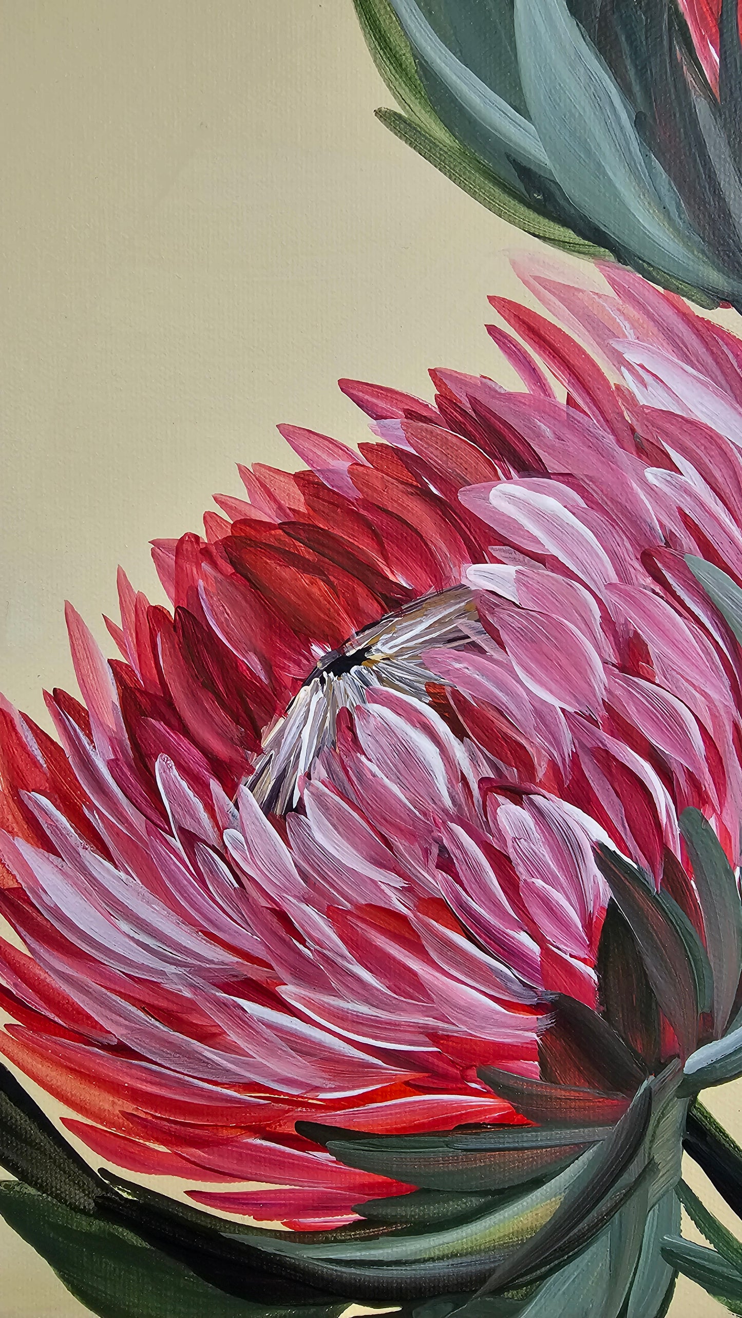 🔴 SOLD "Transformation" #8 _ Protea Flower Painting by Zoe White _ Acrylic on canvas