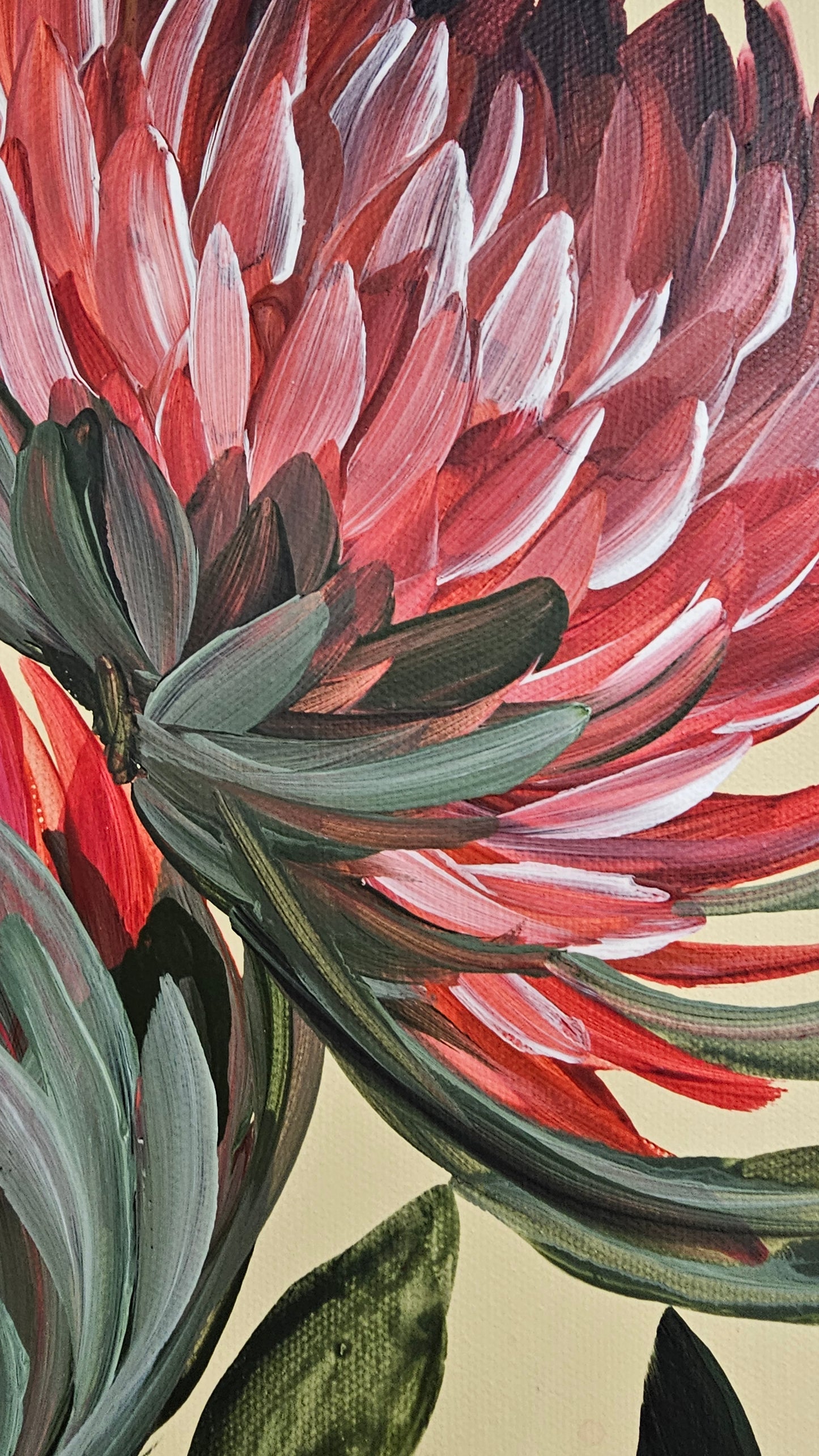 🔴 SOLD "Transformation" #8 _ Protea Flower Painting by Zoe White _ Acrylic on canvas