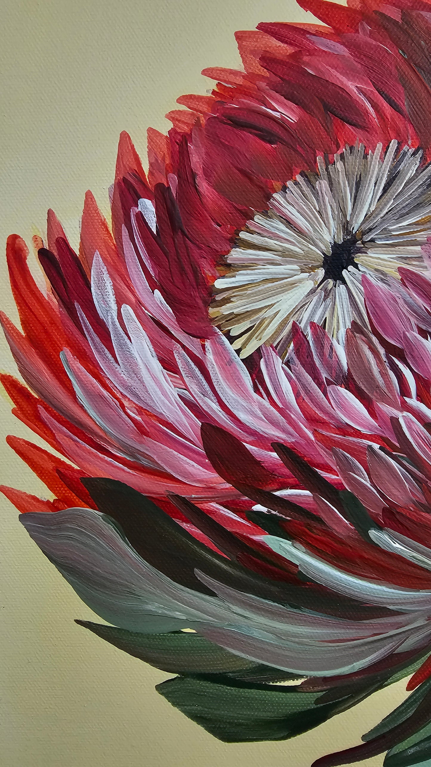 🔴 SOLD "Transformation" #9 _ Protea Flower Painting by Zoe White _ Acrylic on canvas