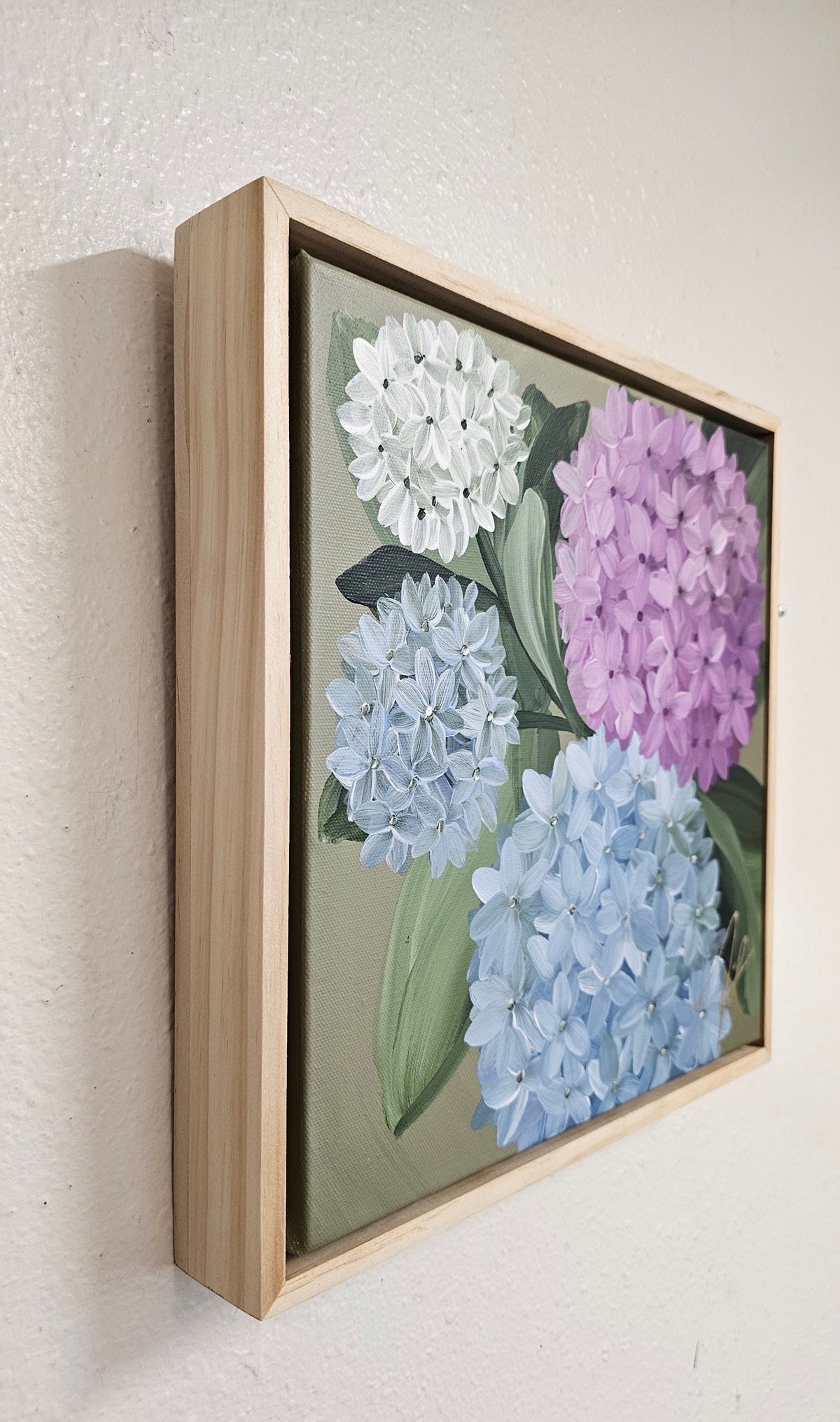 "Heritage" 1 _ 12x12 hydrangeas Flower Painting by Zoe White _ Acrylic on canvas