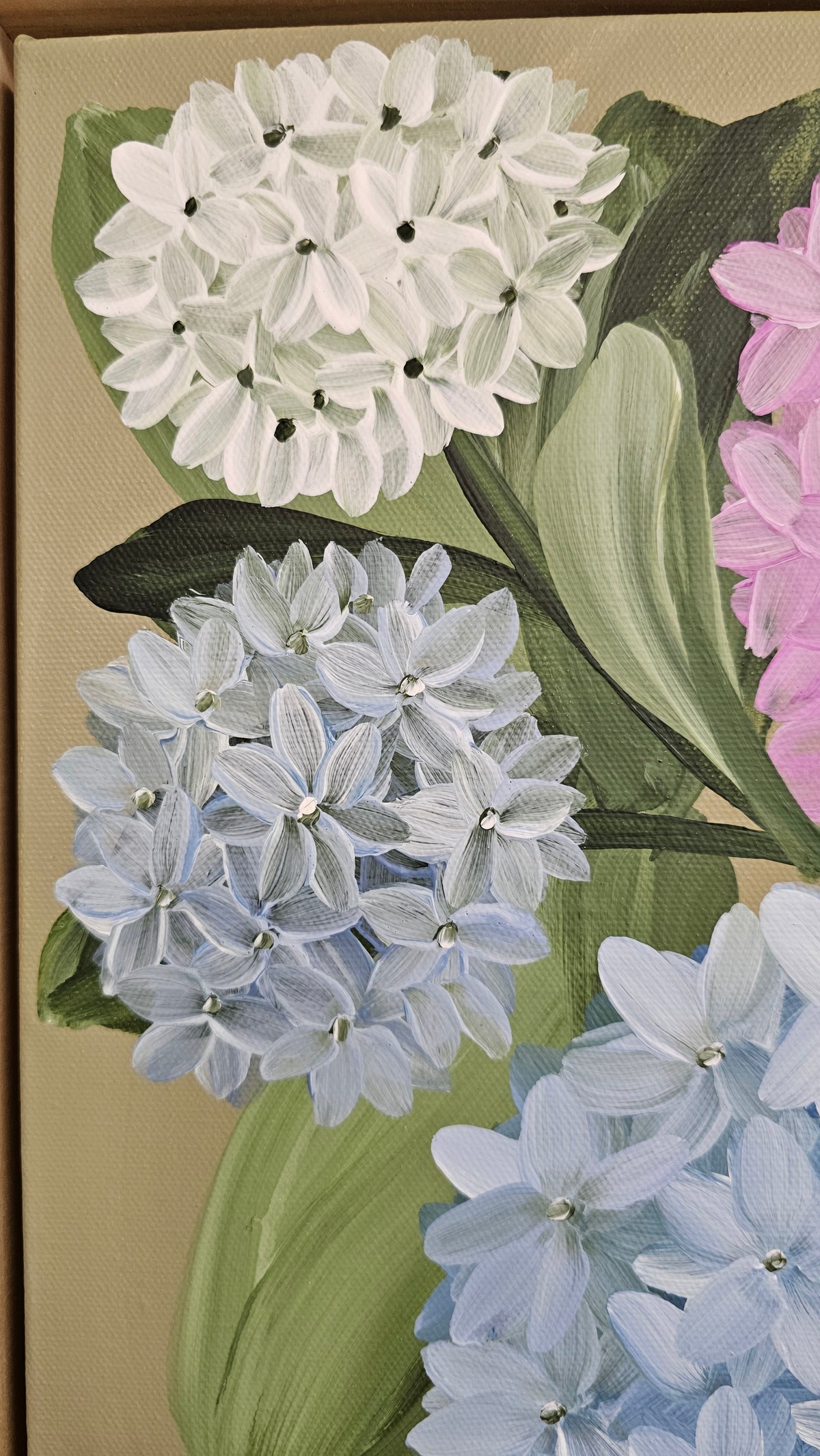 "Heritage" 1 _ 12x12 hydrangeas Flower Painting by Zoe White _ Acrylic on canvas