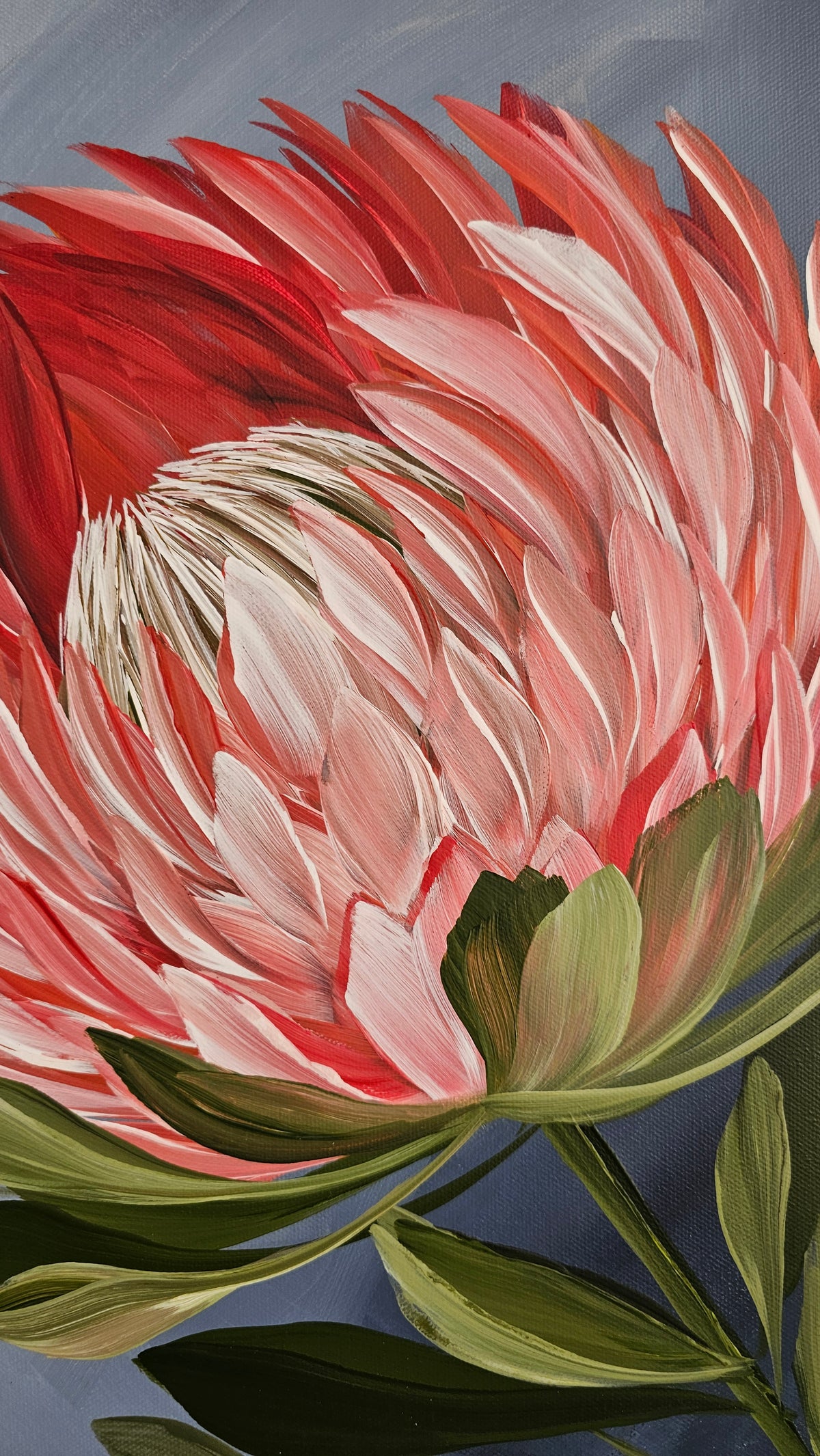 "Radiant" #1  Protea Flower Painting by Zoe White _ Acrylic on canvas