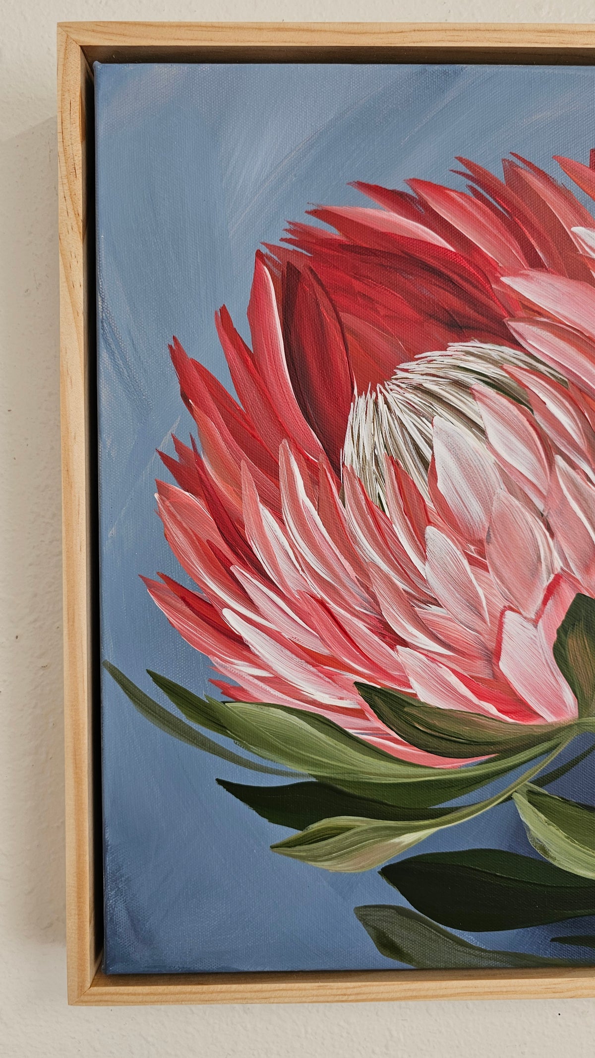 "Radiant" #1  Protea Flower Painting by Zoe White _ Acrylic on canvas
