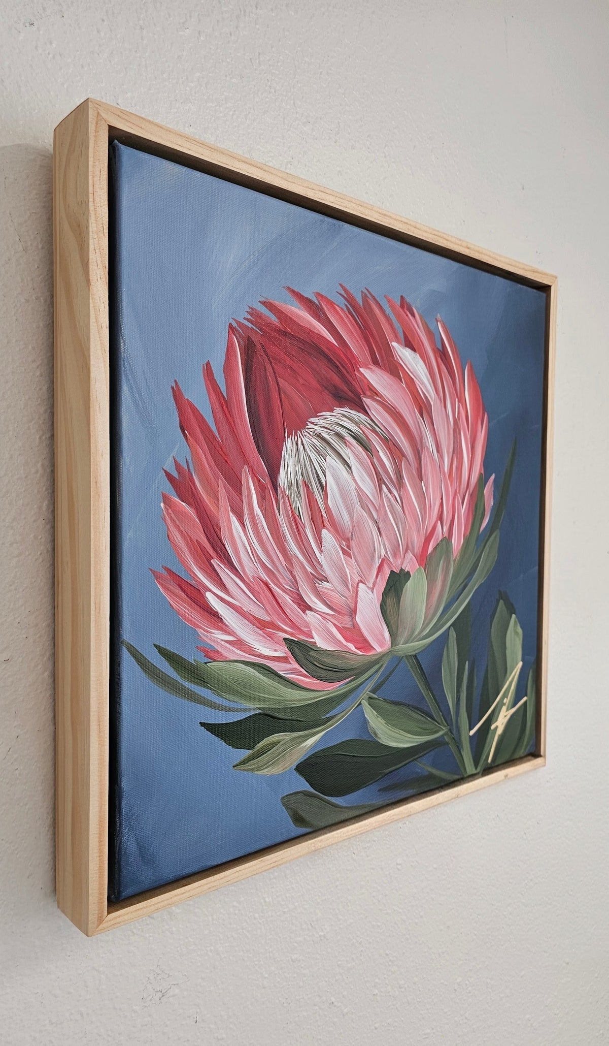 "Radiant" #1  Protea Flower Painting by Zoe White _ Acrylic on canvas
