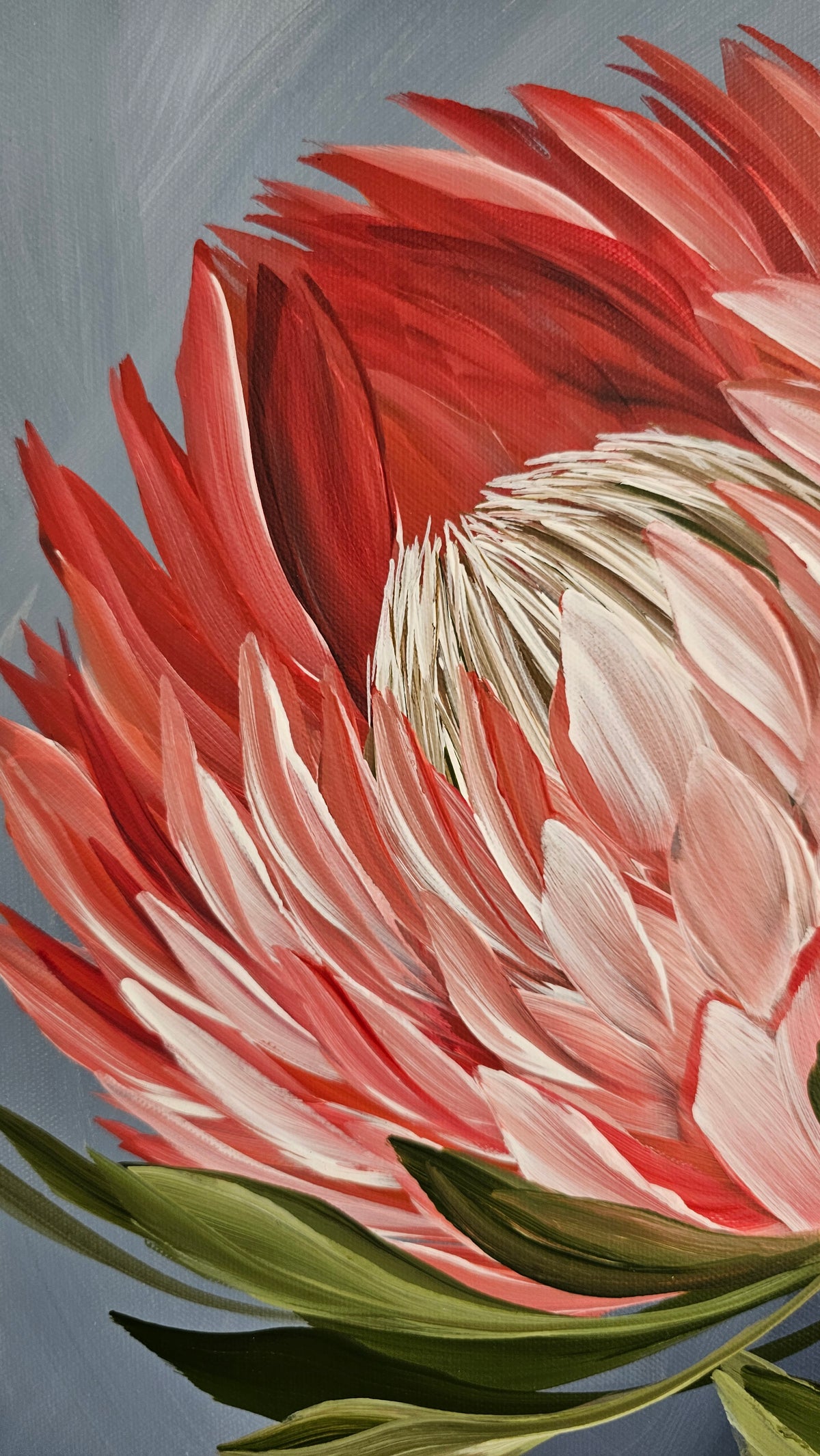 "Radiant" #1  Protea Flower Painting by Zoe White _ Acrylic on canvas