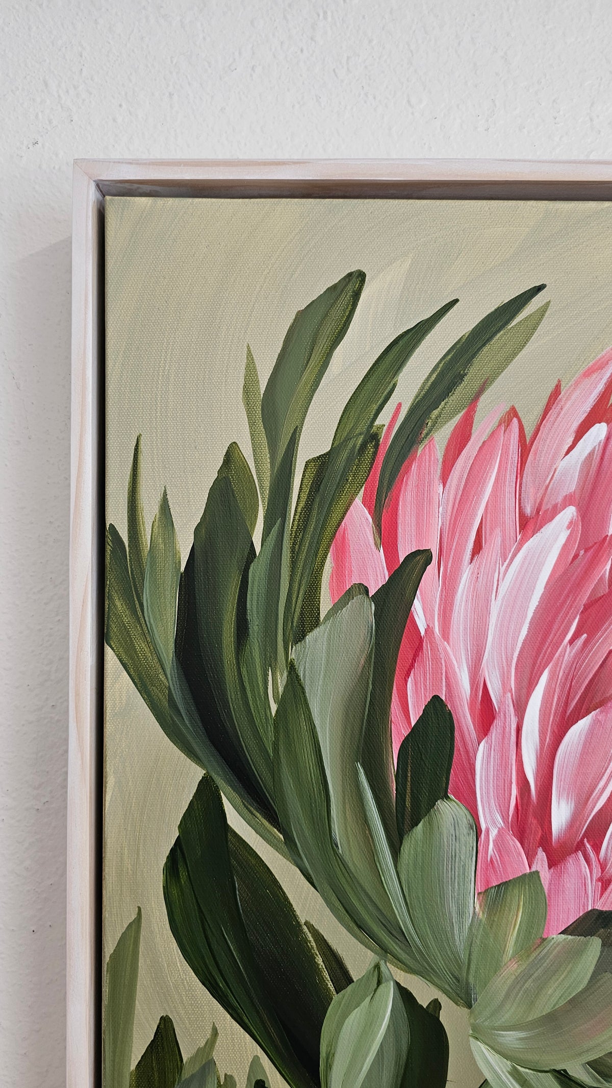 "Radiant" #5  Protea Flower Painting by Zoe White _ Acrylic on canvas
