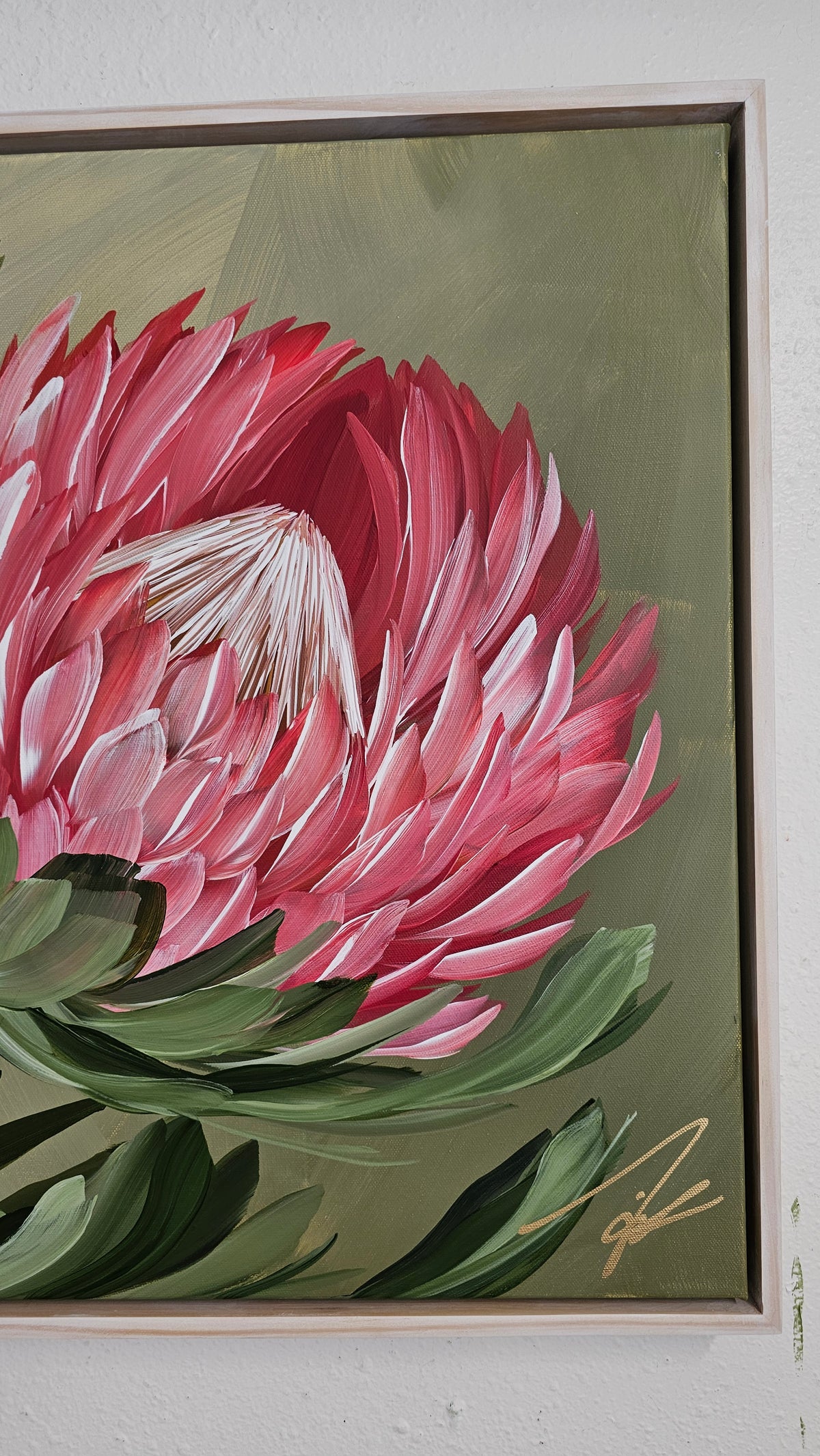 "Radiant" #5  Protea Flower Painting by Zoe White _ Acrylic on canvas