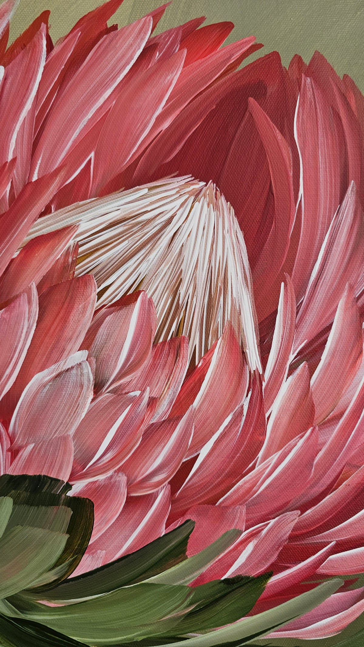 "Radiant" #5  Protea Flower Painting by Zoe White _ Acrylic on canvas