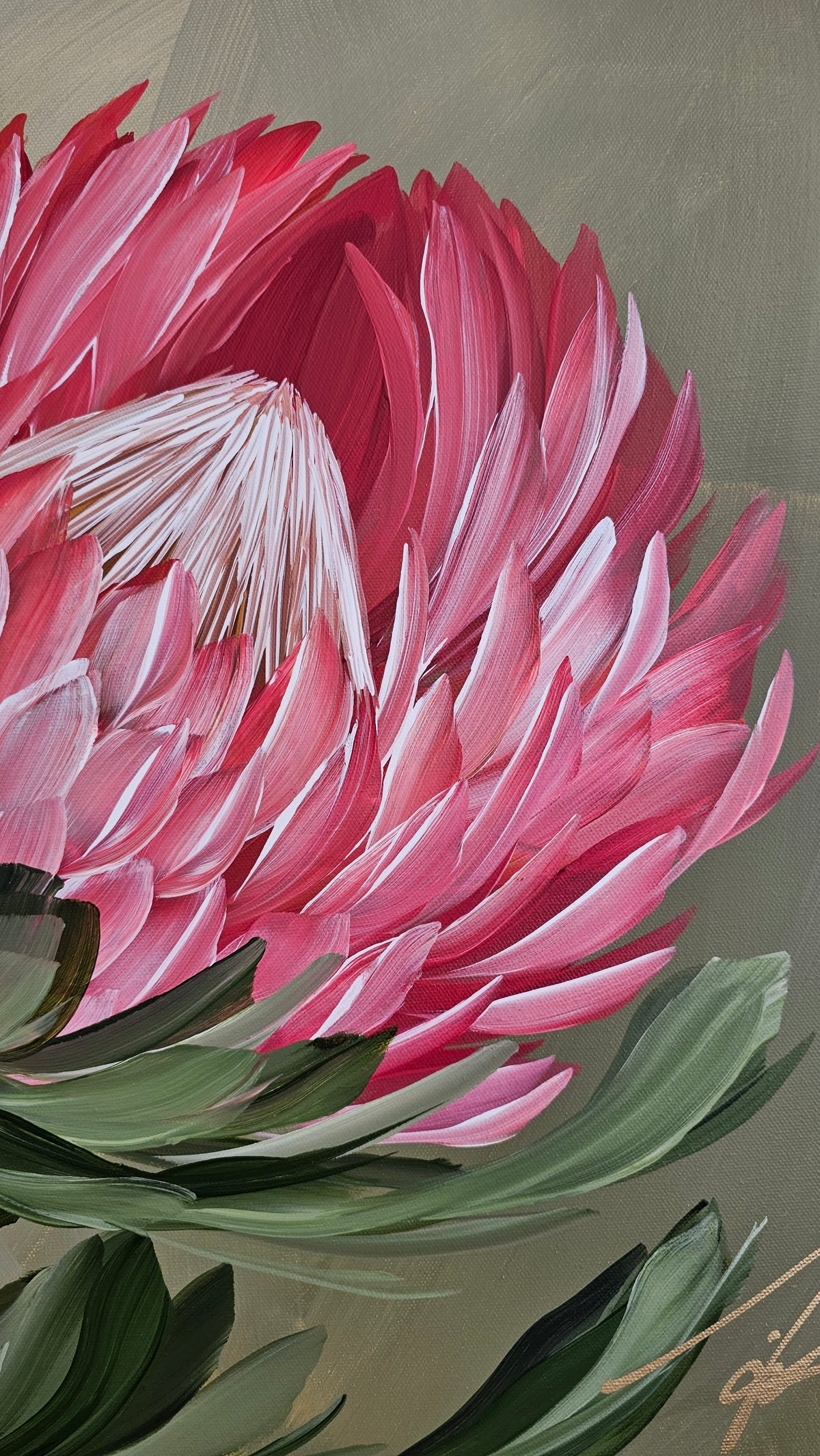 "Radiant" #5  Protea Flower Painting by Zoe White _ Acrylic on canvas