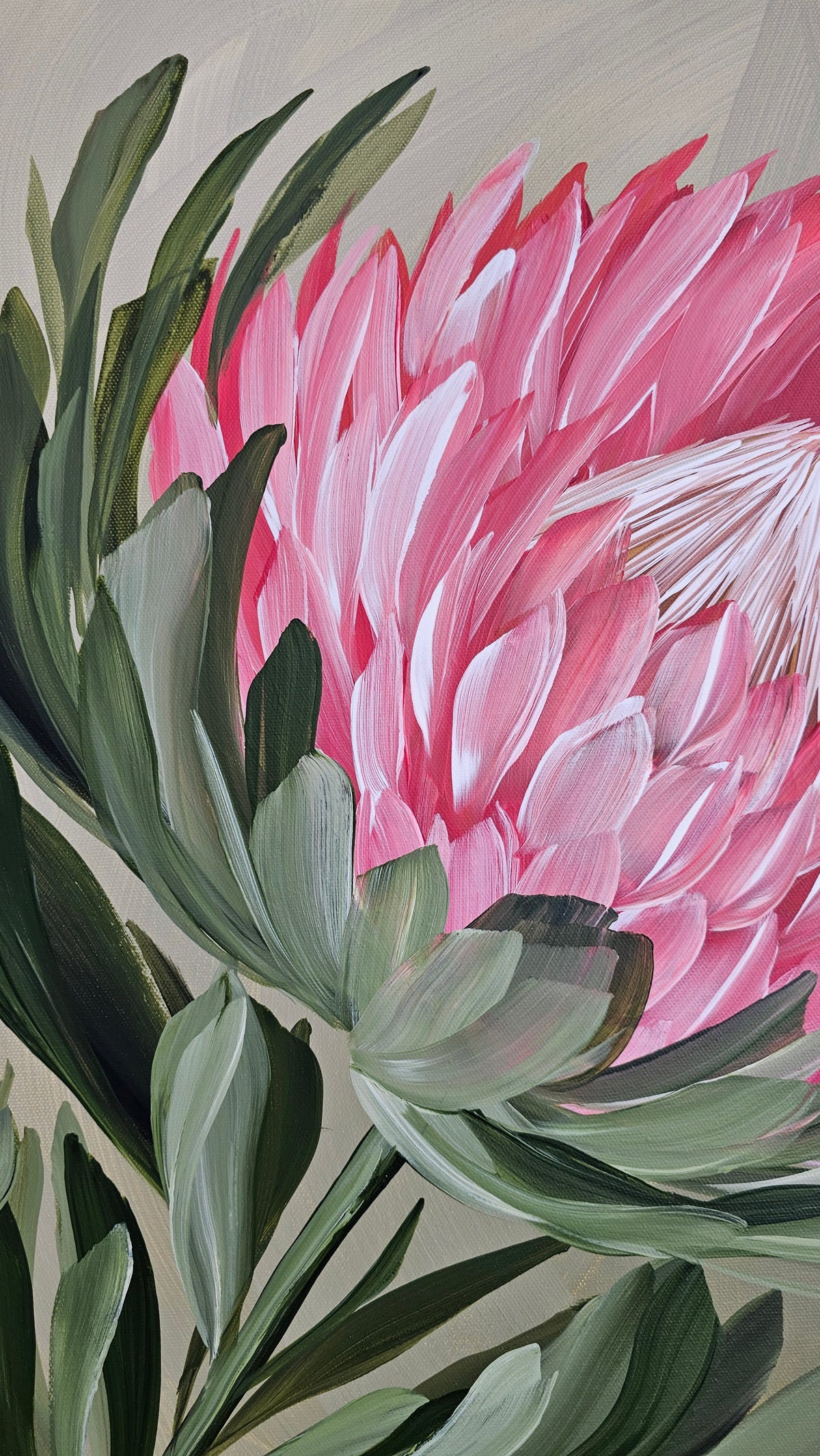 "Radiant" #5  Protea Flower Painting by Zoe White _ Acrylic on canvas