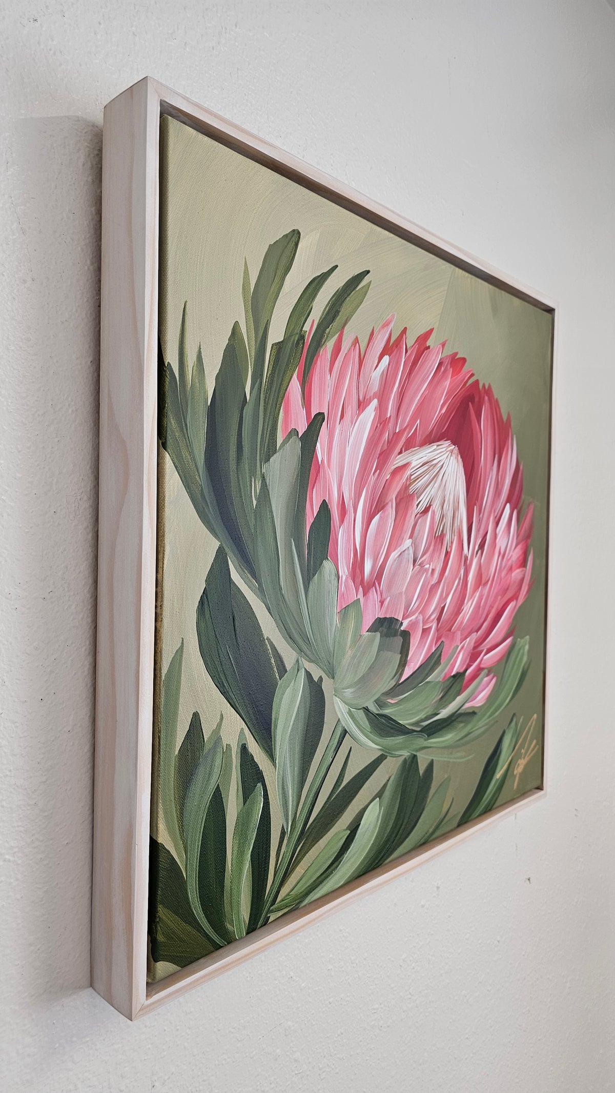"Radiant" #5  Protea Flower Painting by Zoe White _ Acrylic on canvas