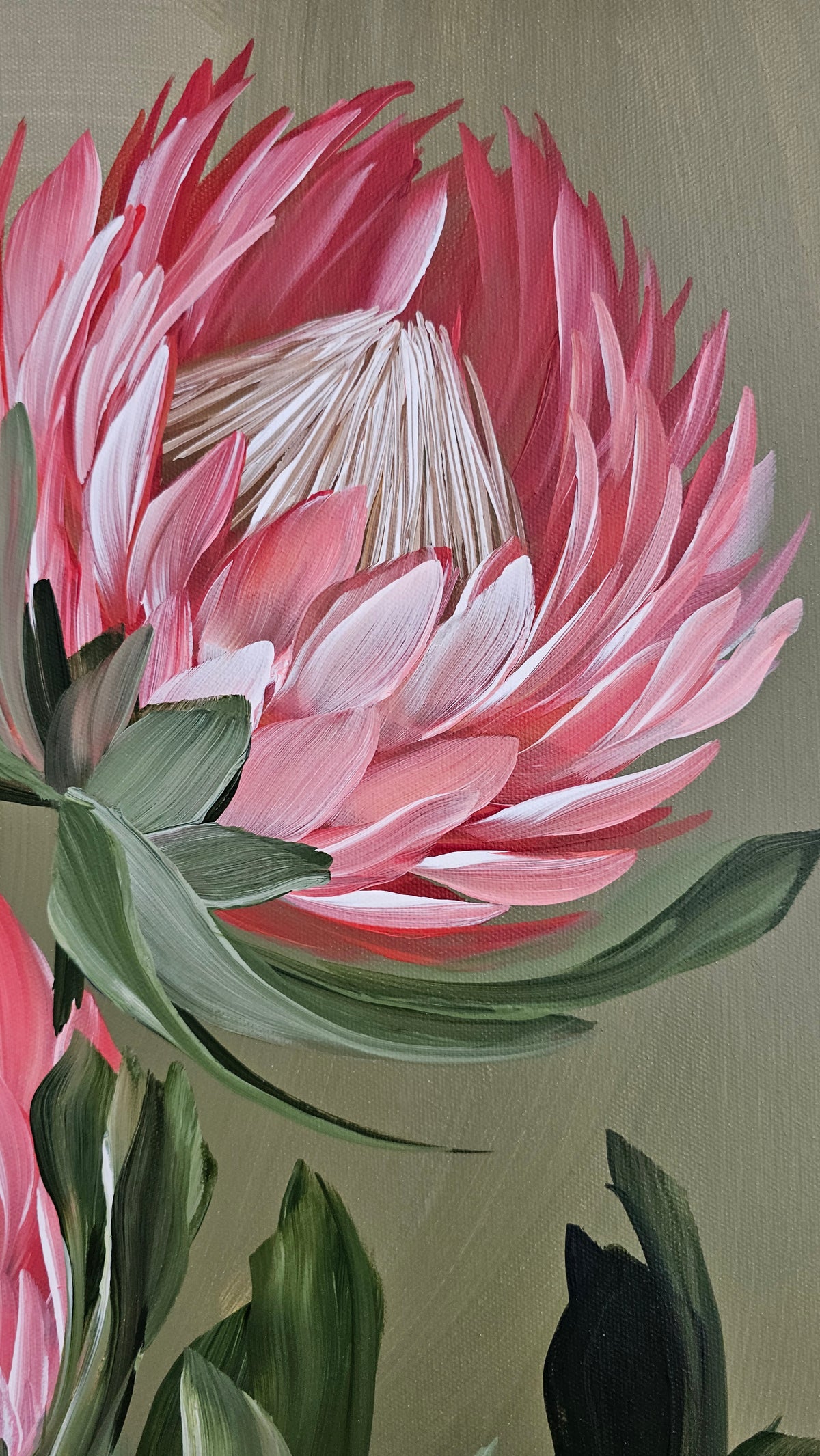 "Radiant" #6  Protea Flower Painting by Zoe White _ Acrylic on canvas